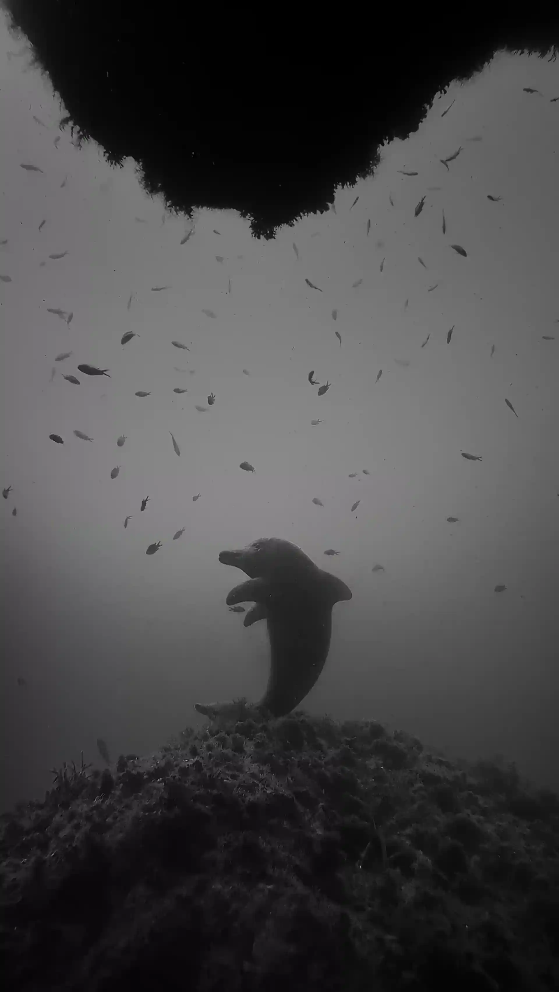 Dive site photo