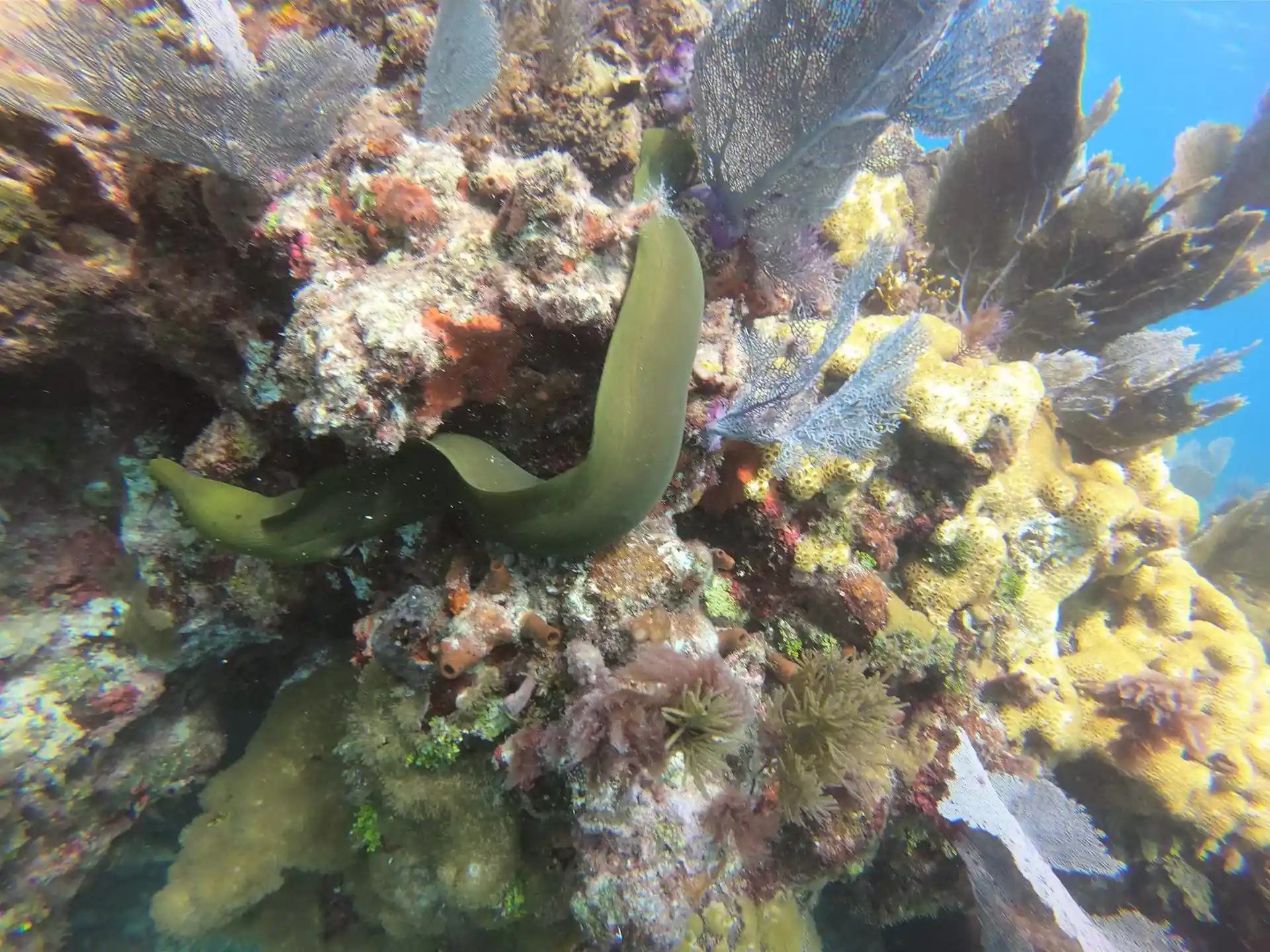 Dive site photo