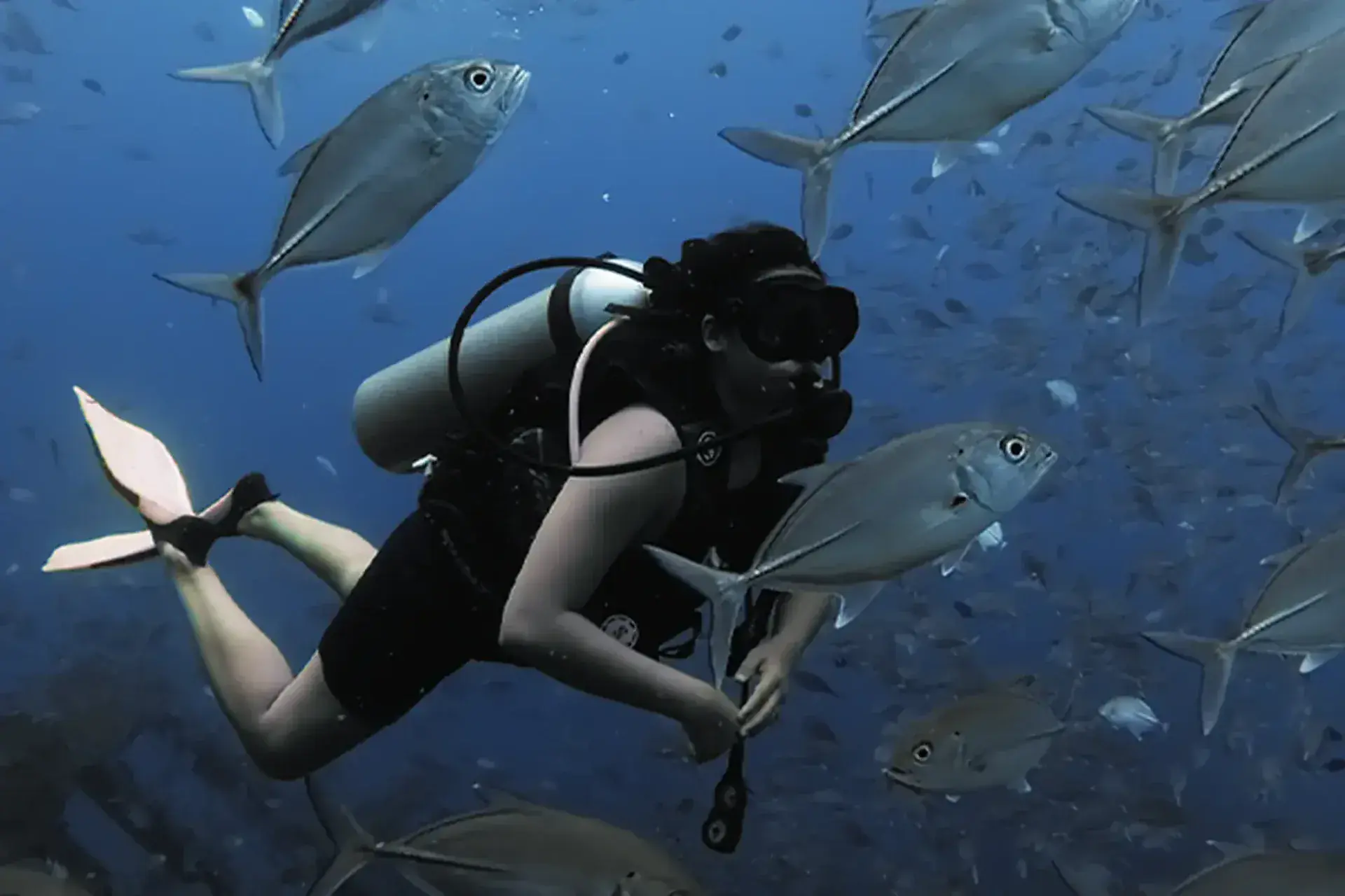 Surrounded by a storm of fishes