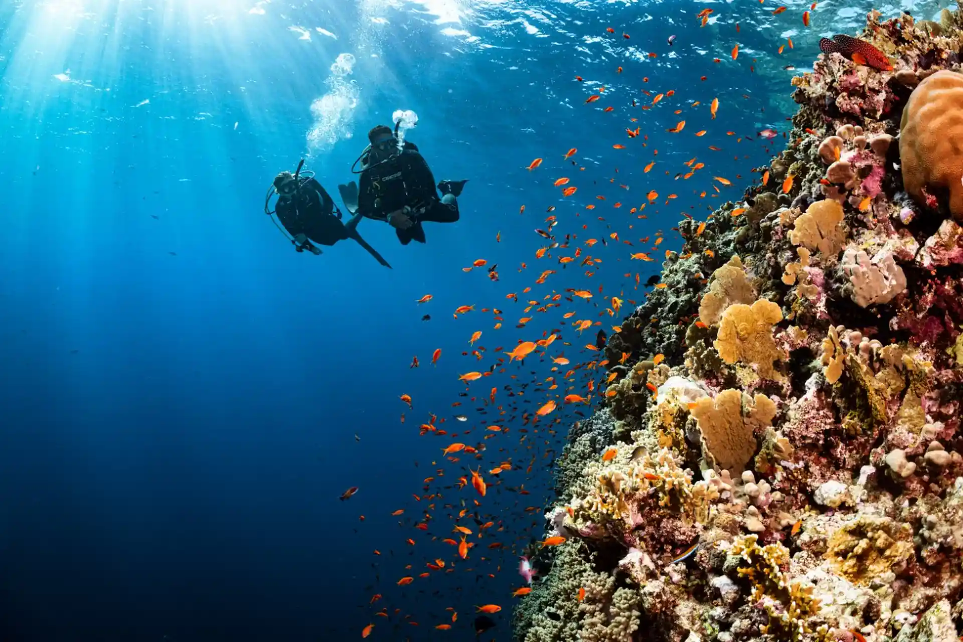 Dive shop photo