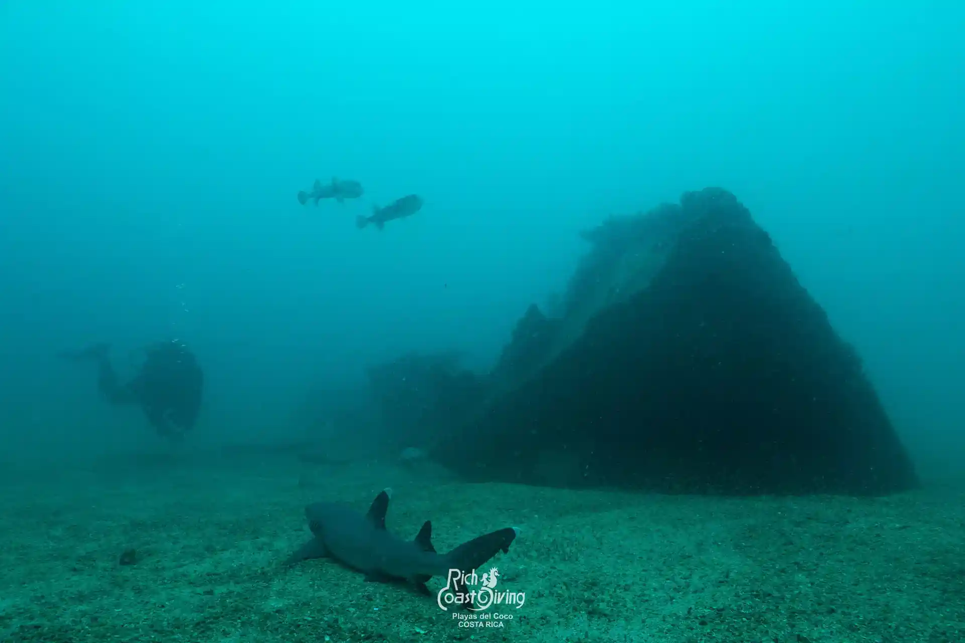 Dive site photo