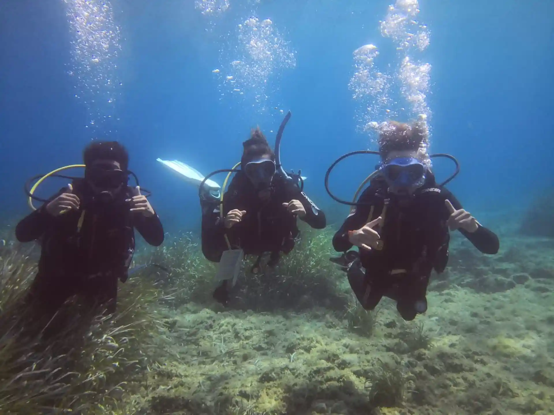 Photo de l'activité