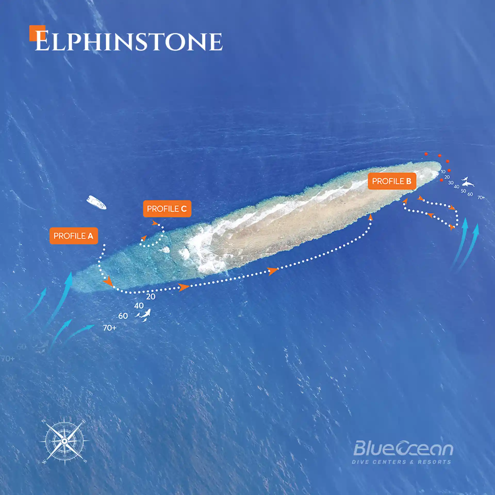 Photo du site de plongée