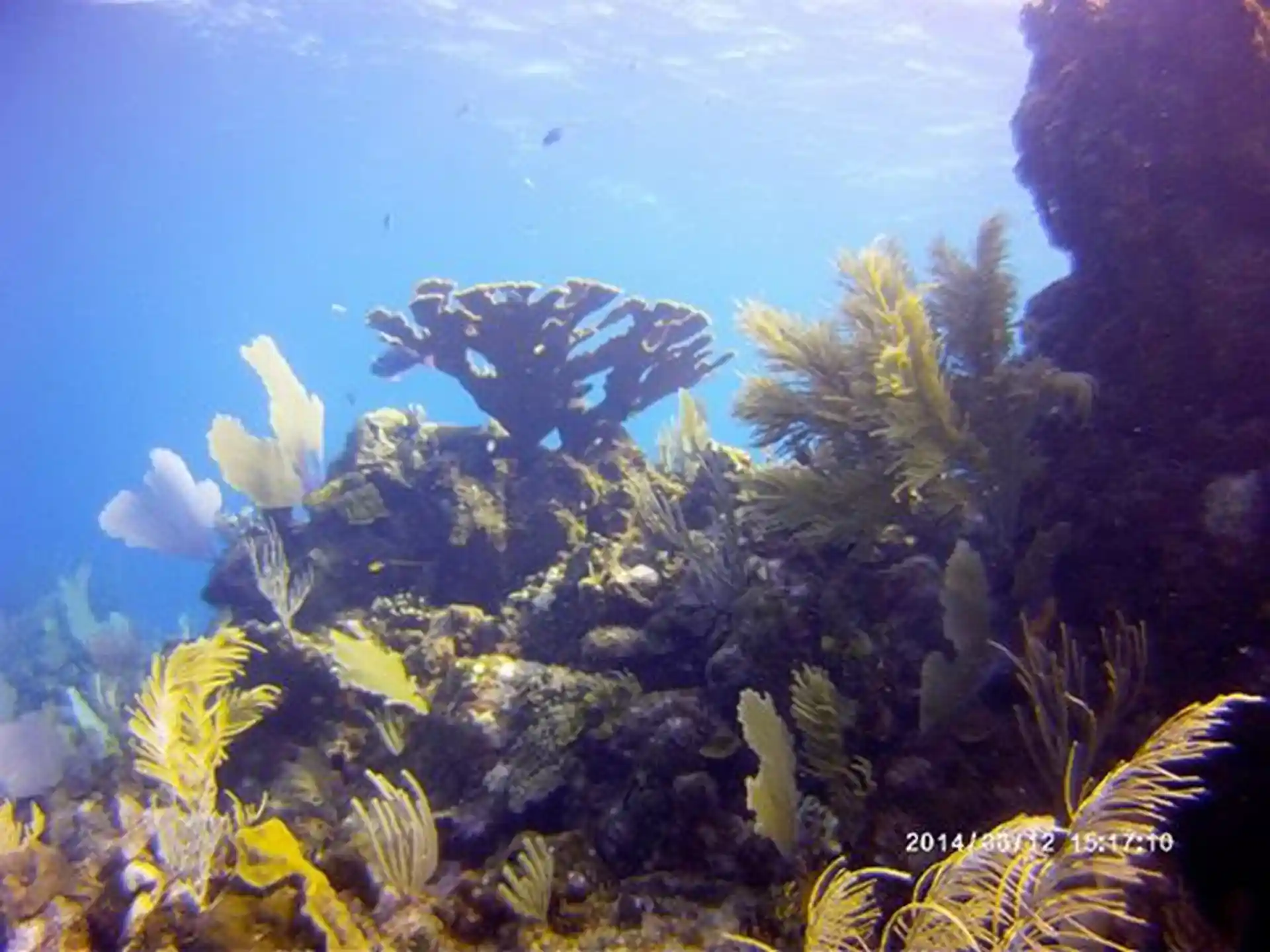 Foto de la tienda de buceo