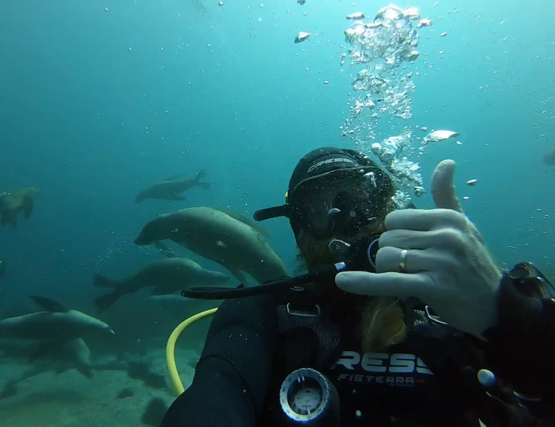 Dive shop photo