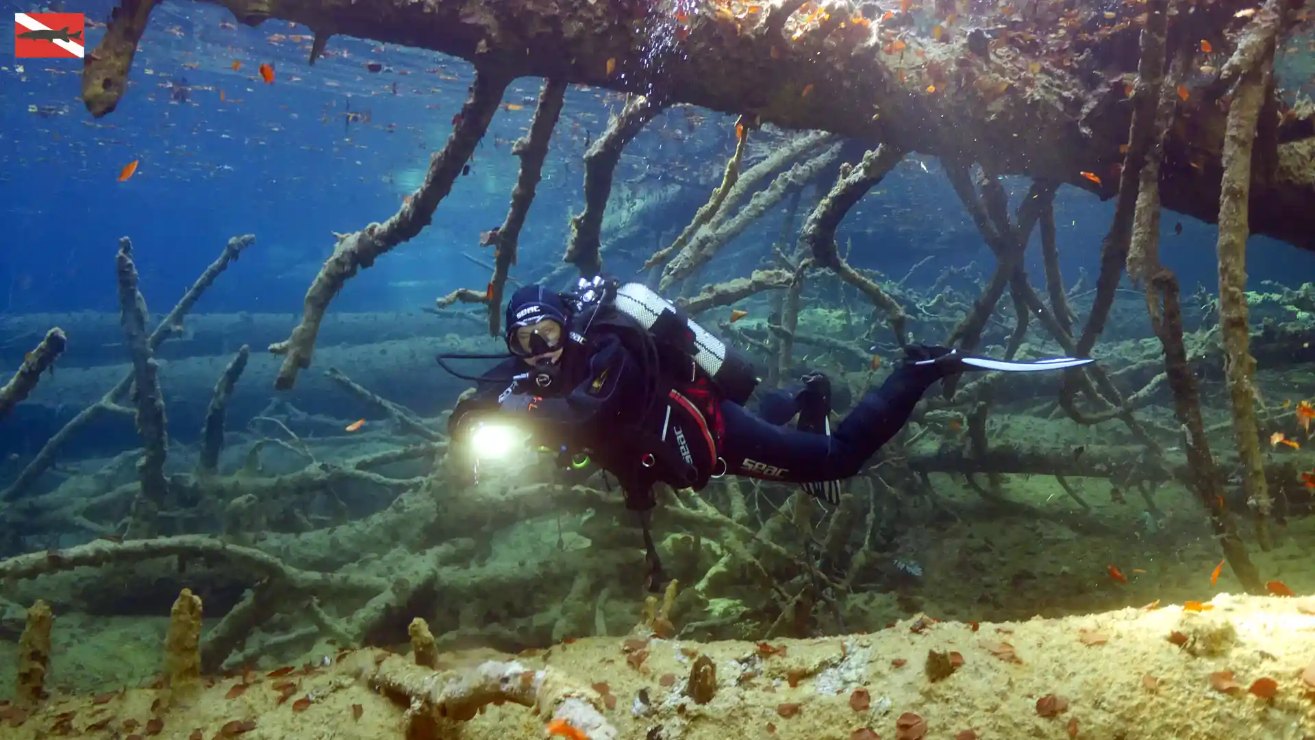 Foto de la actividad