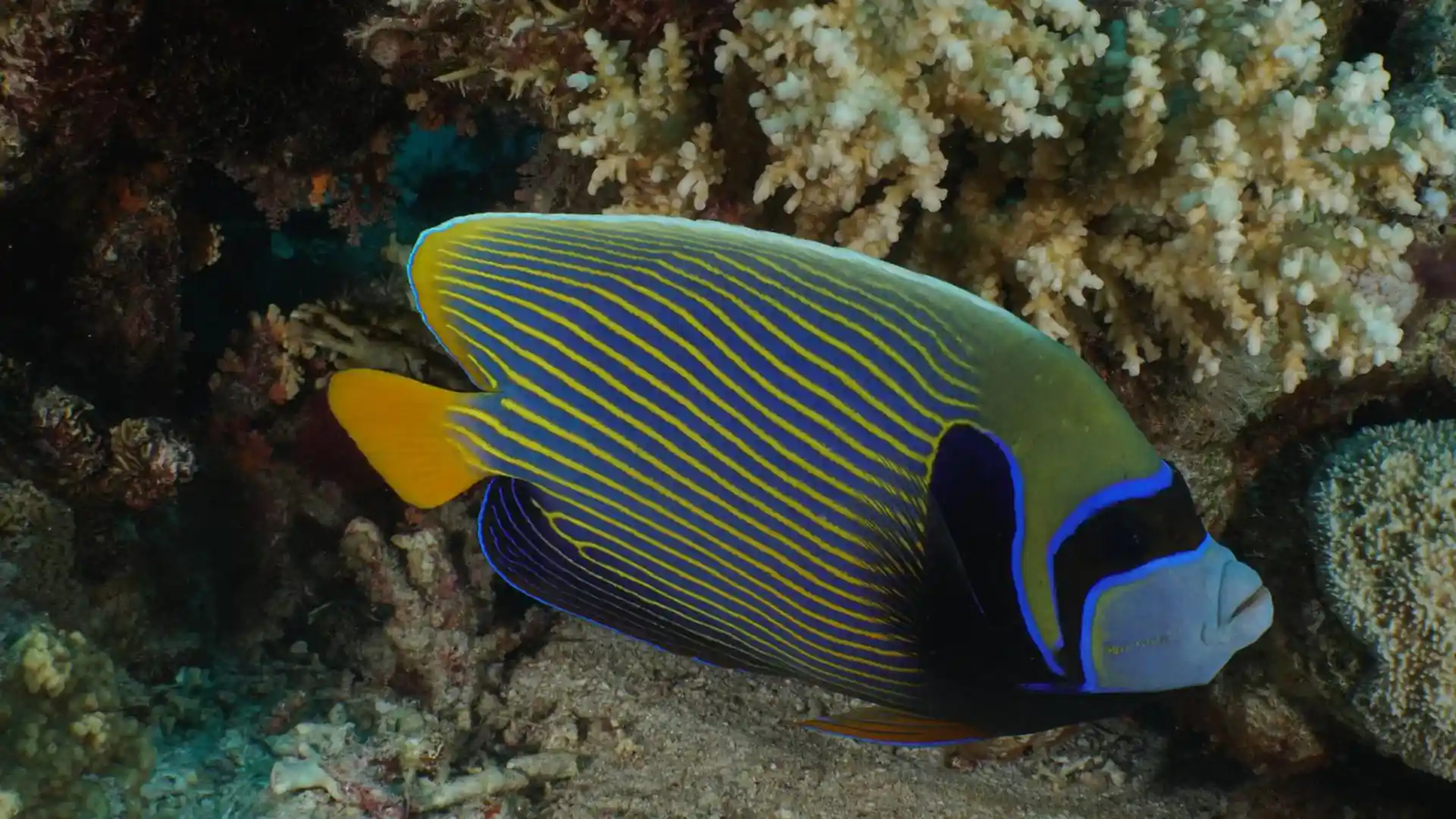 Photo de l'activité