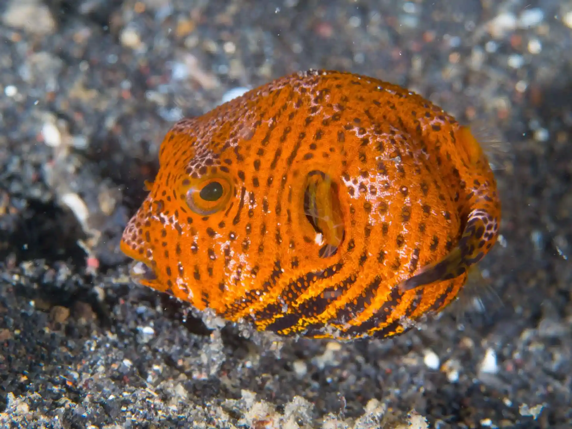 Dive site photo