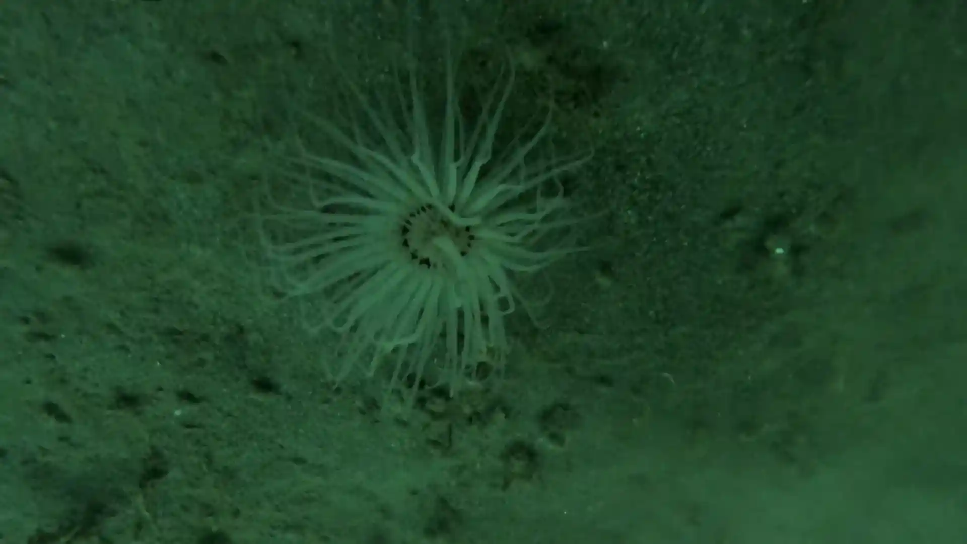 Dive site photo