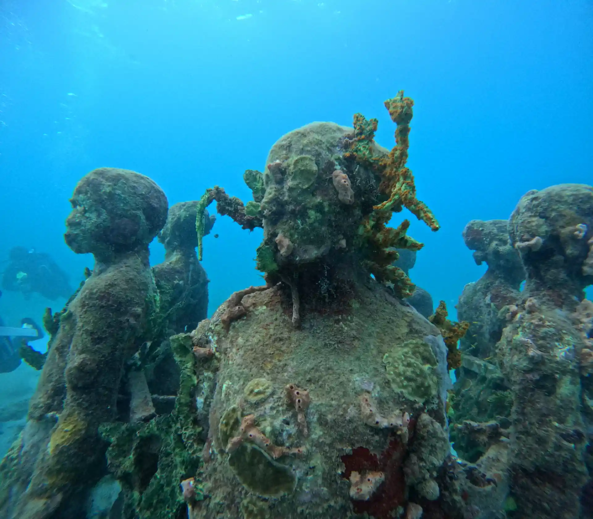 Dive shop photo