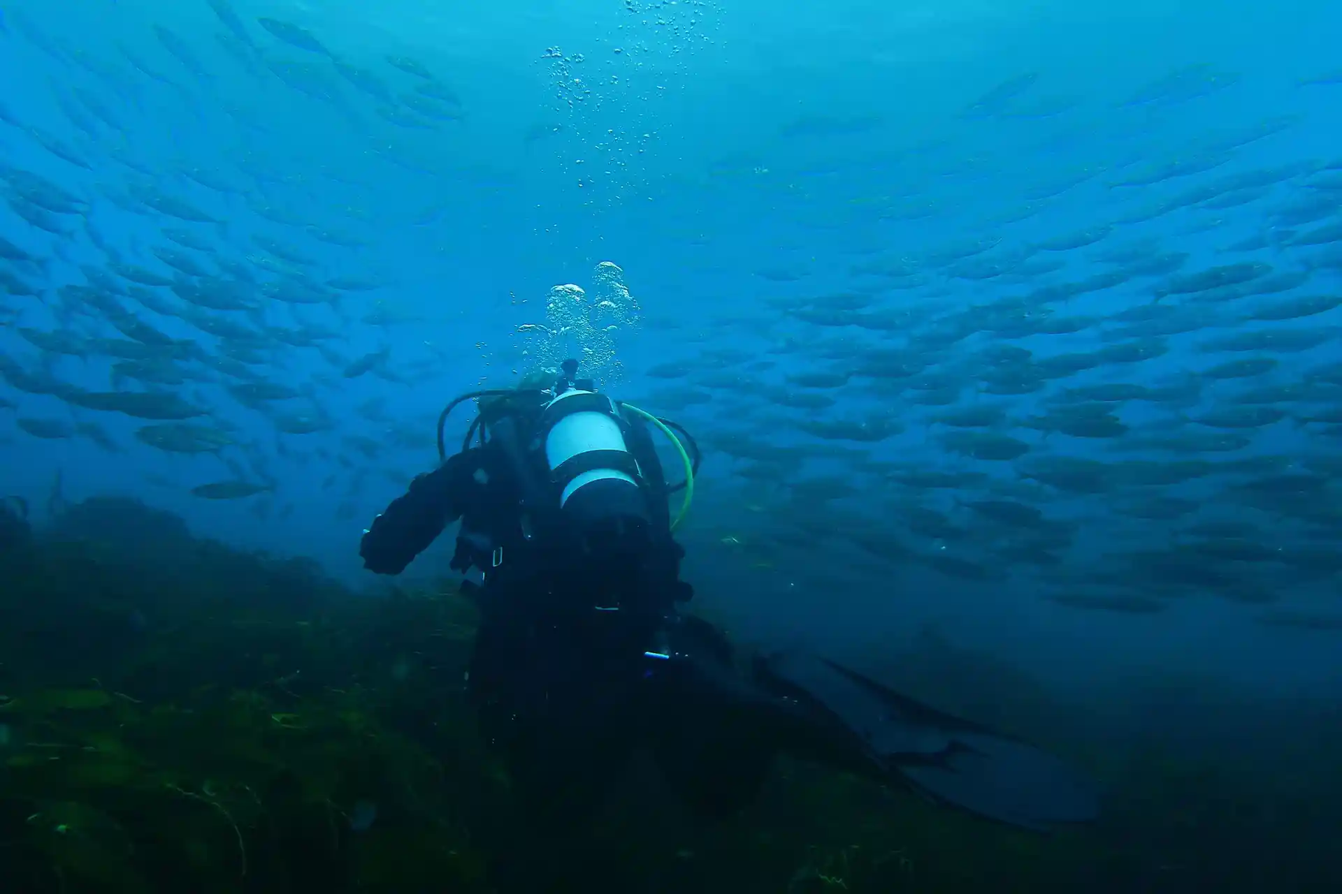 Dive site photo