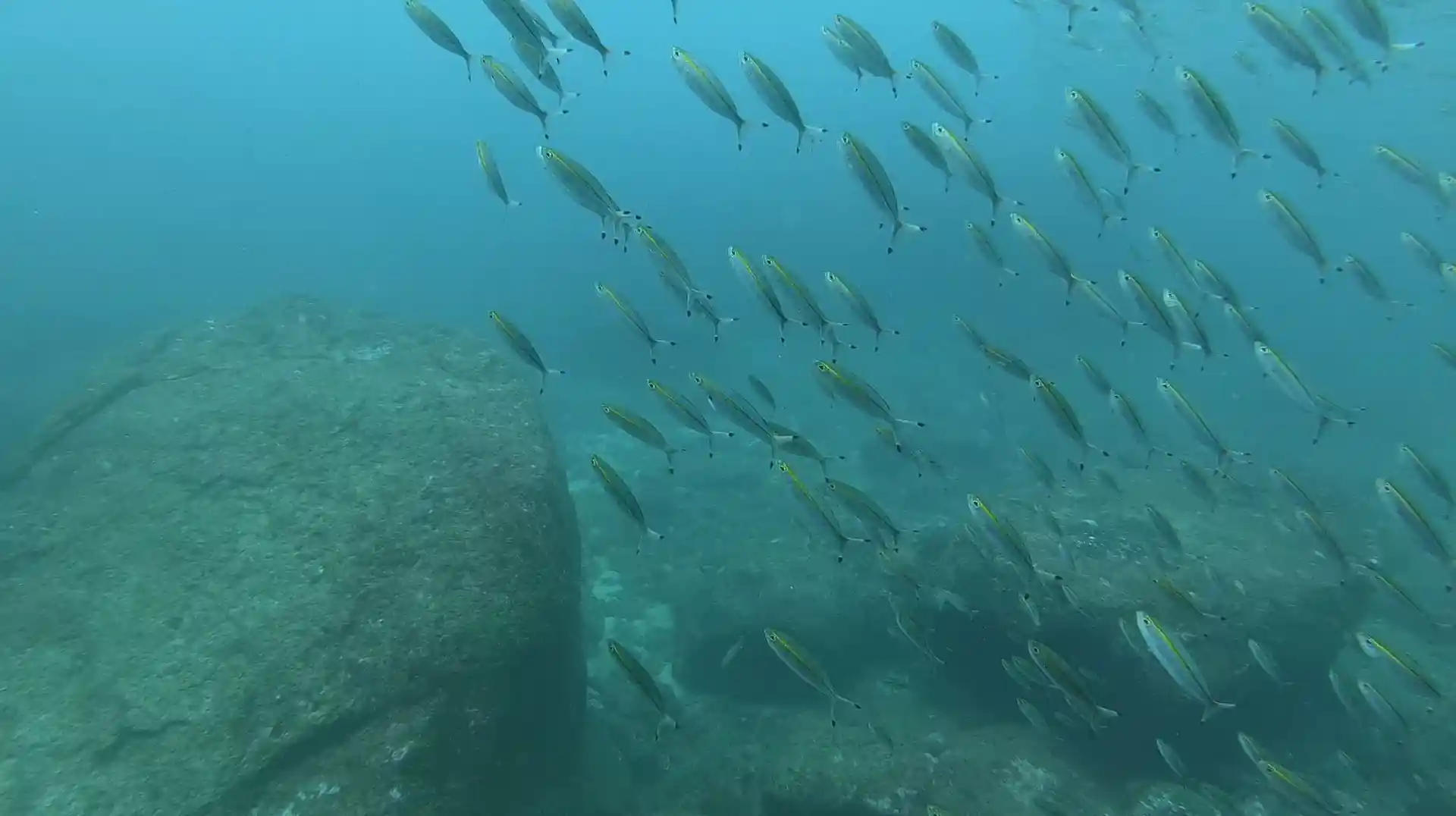 Foto des Tauchplatzes