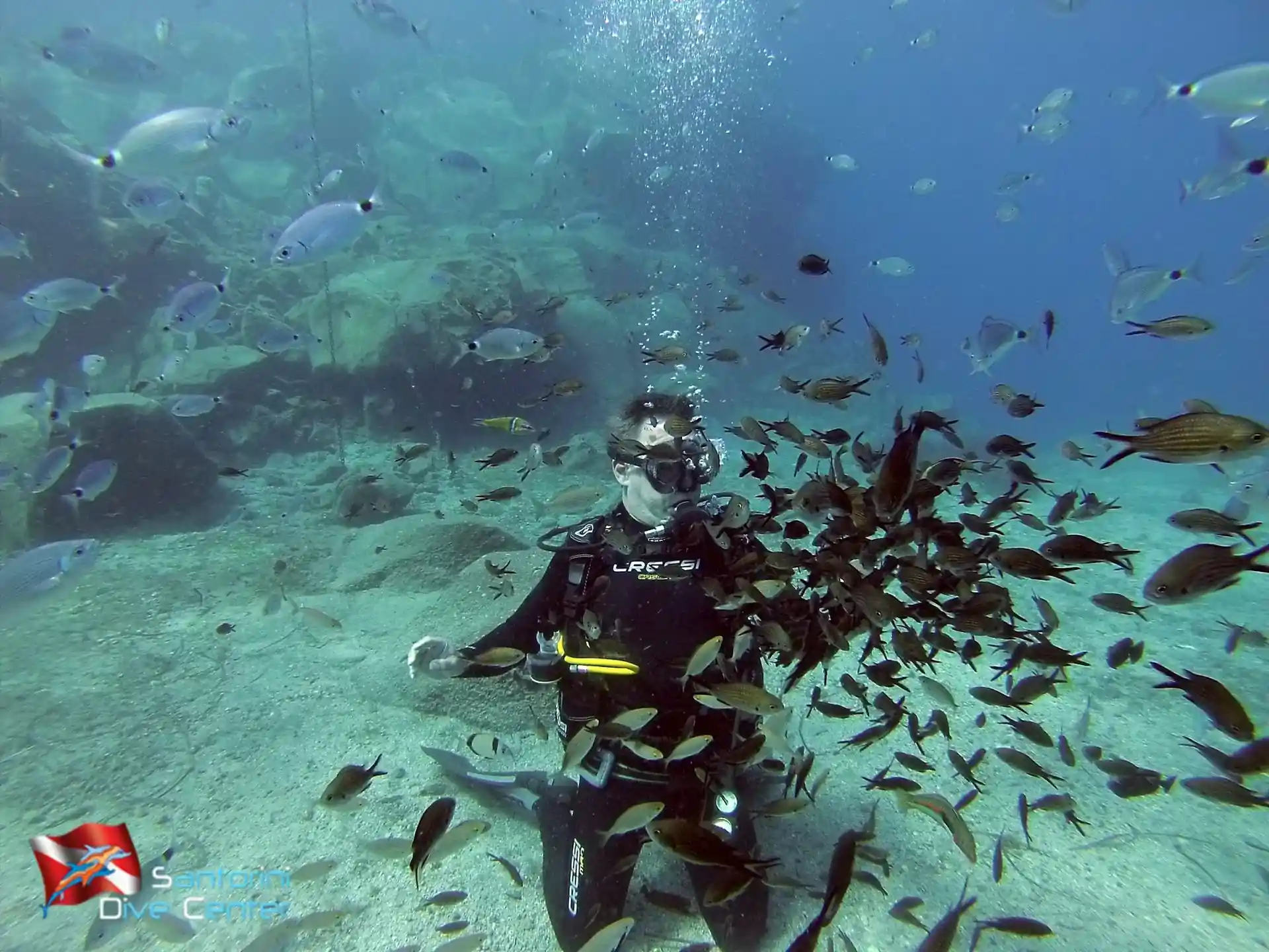 Dive site photo