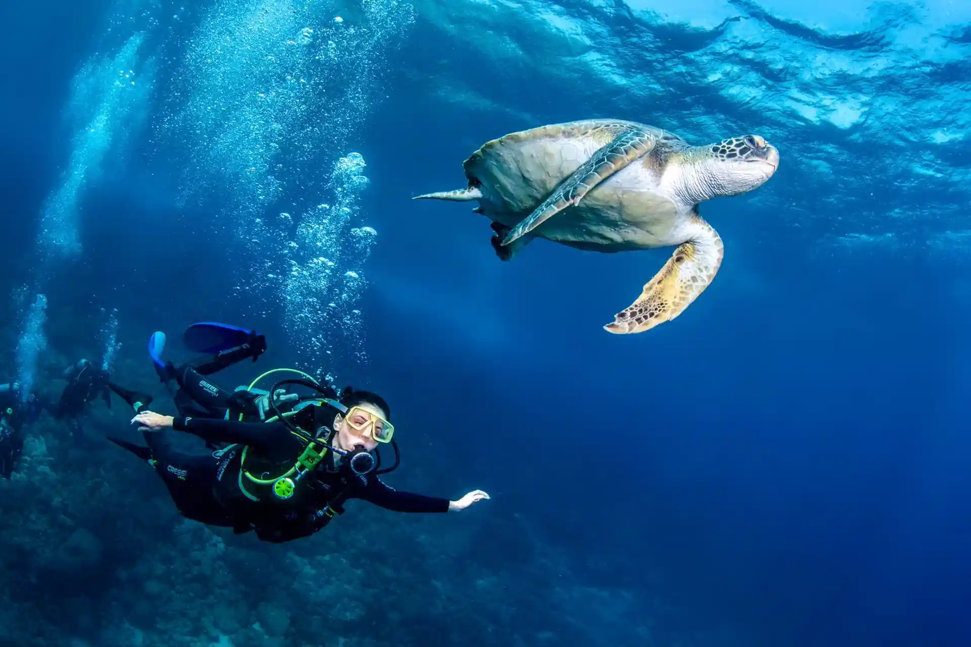 Foto de la tienda de buceo
