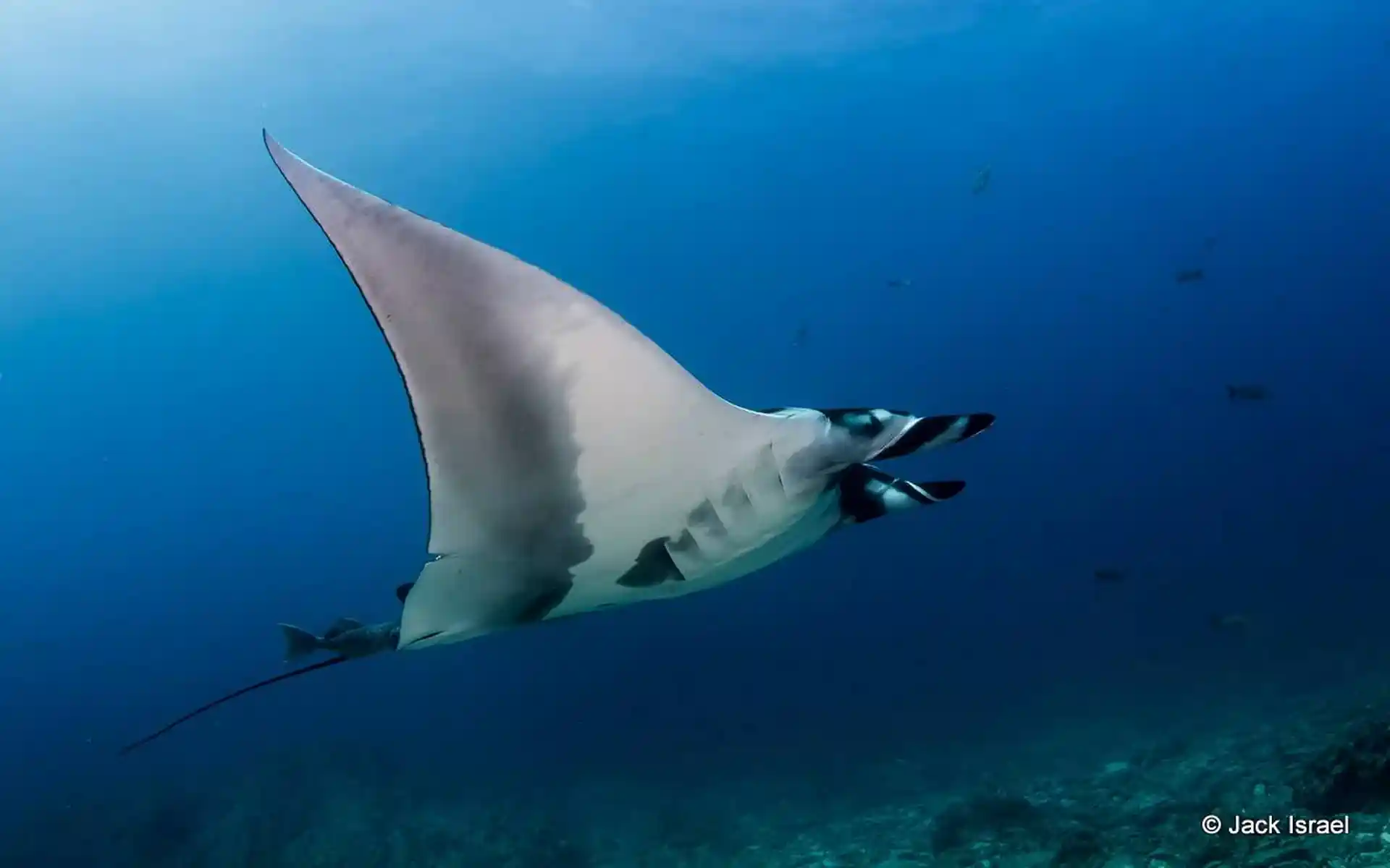 Dive site photo