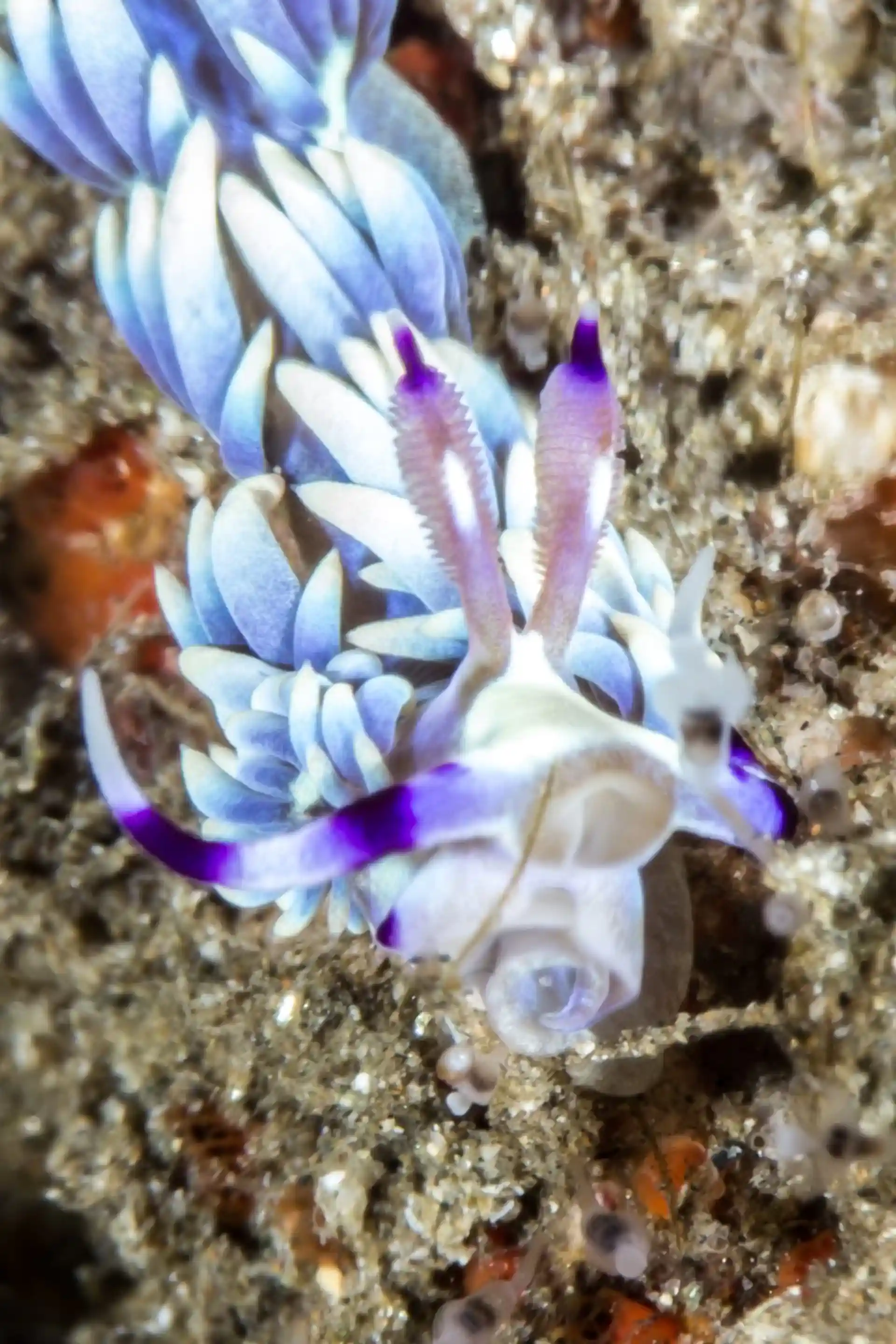 Photo du site de plongée