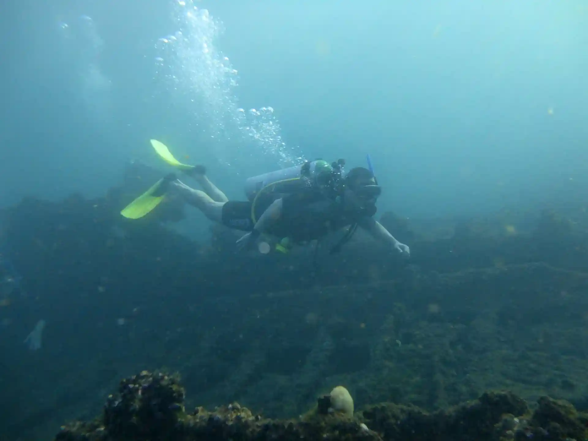 Dive site photo