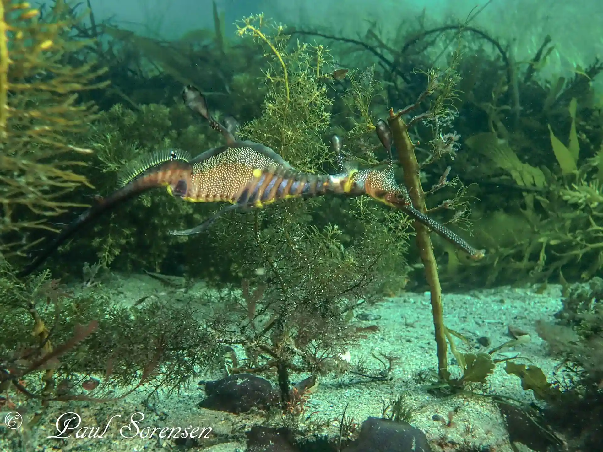 Dive site photo