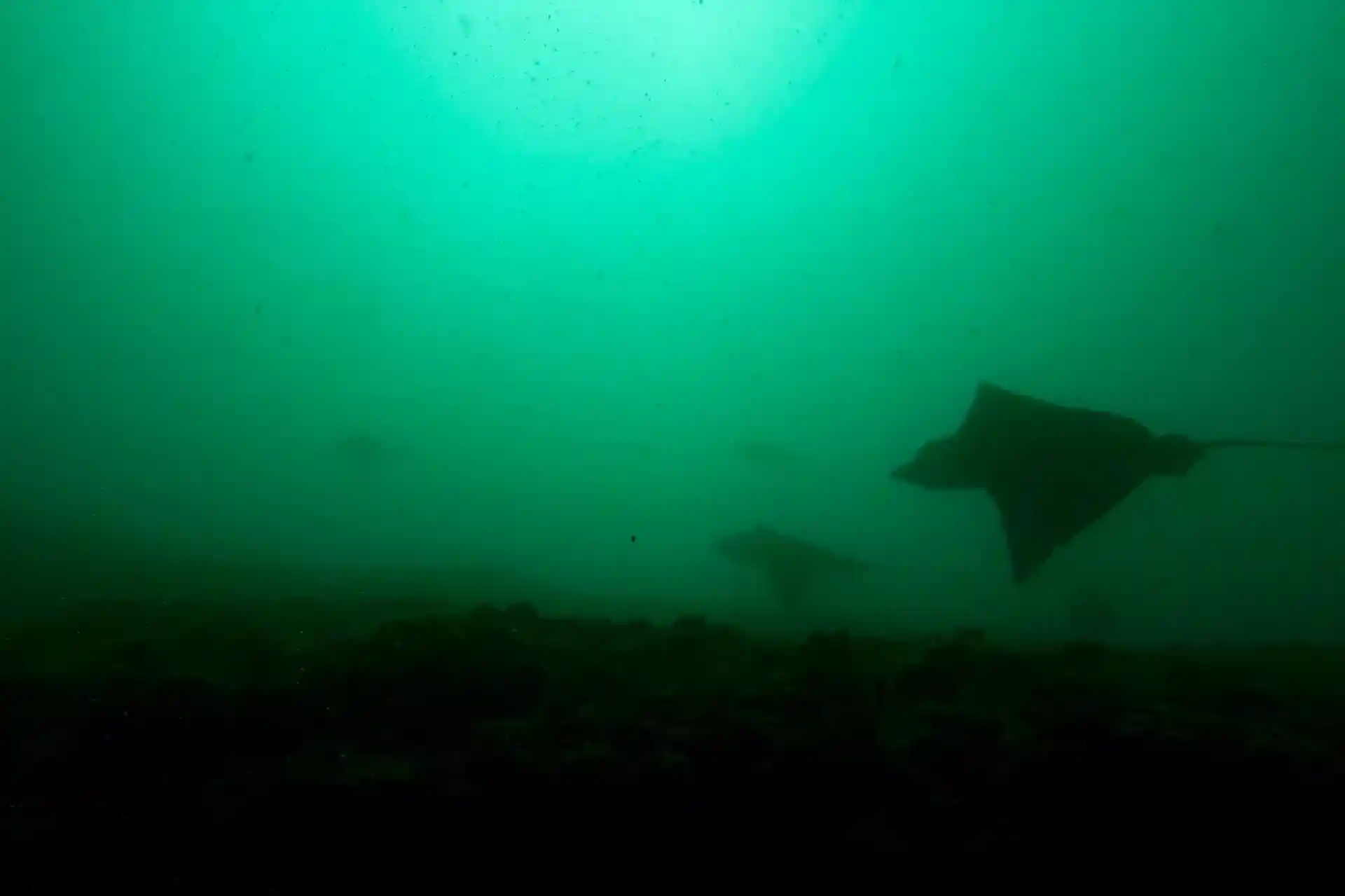 潜水点图片