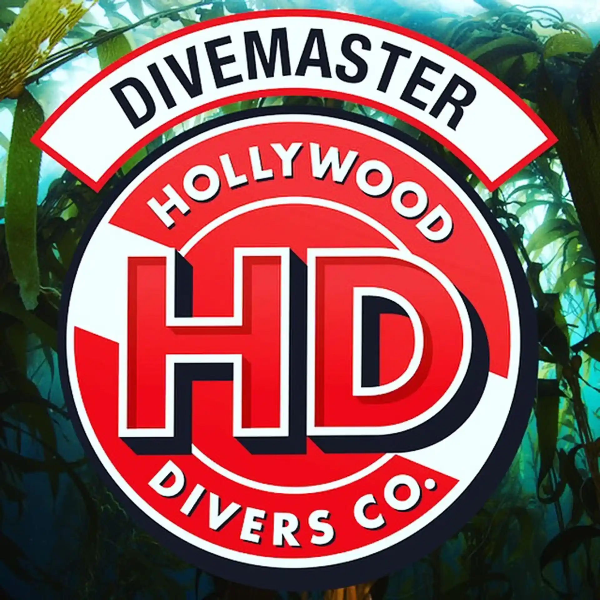 Dive shop photo