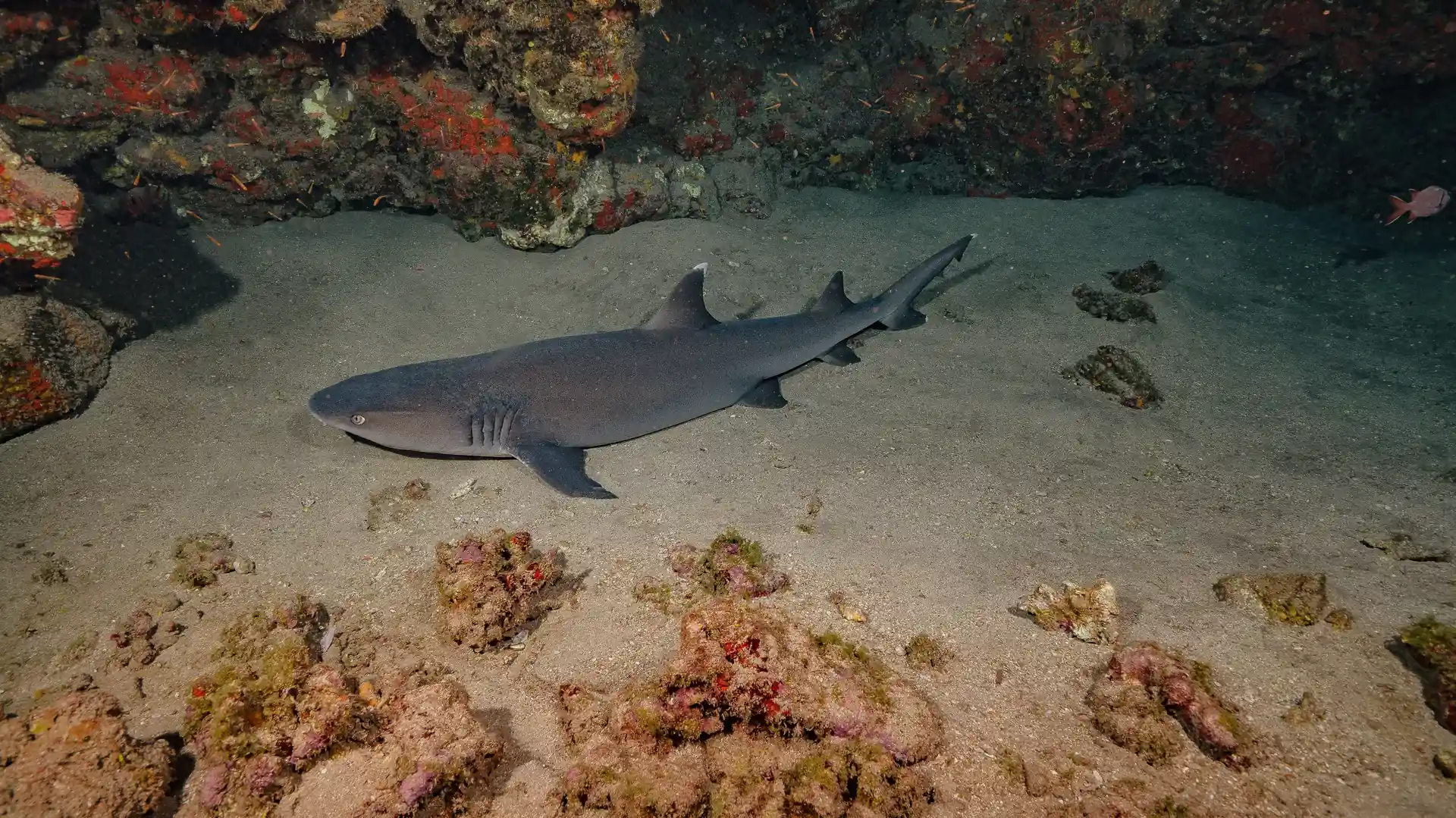 Dive site photo