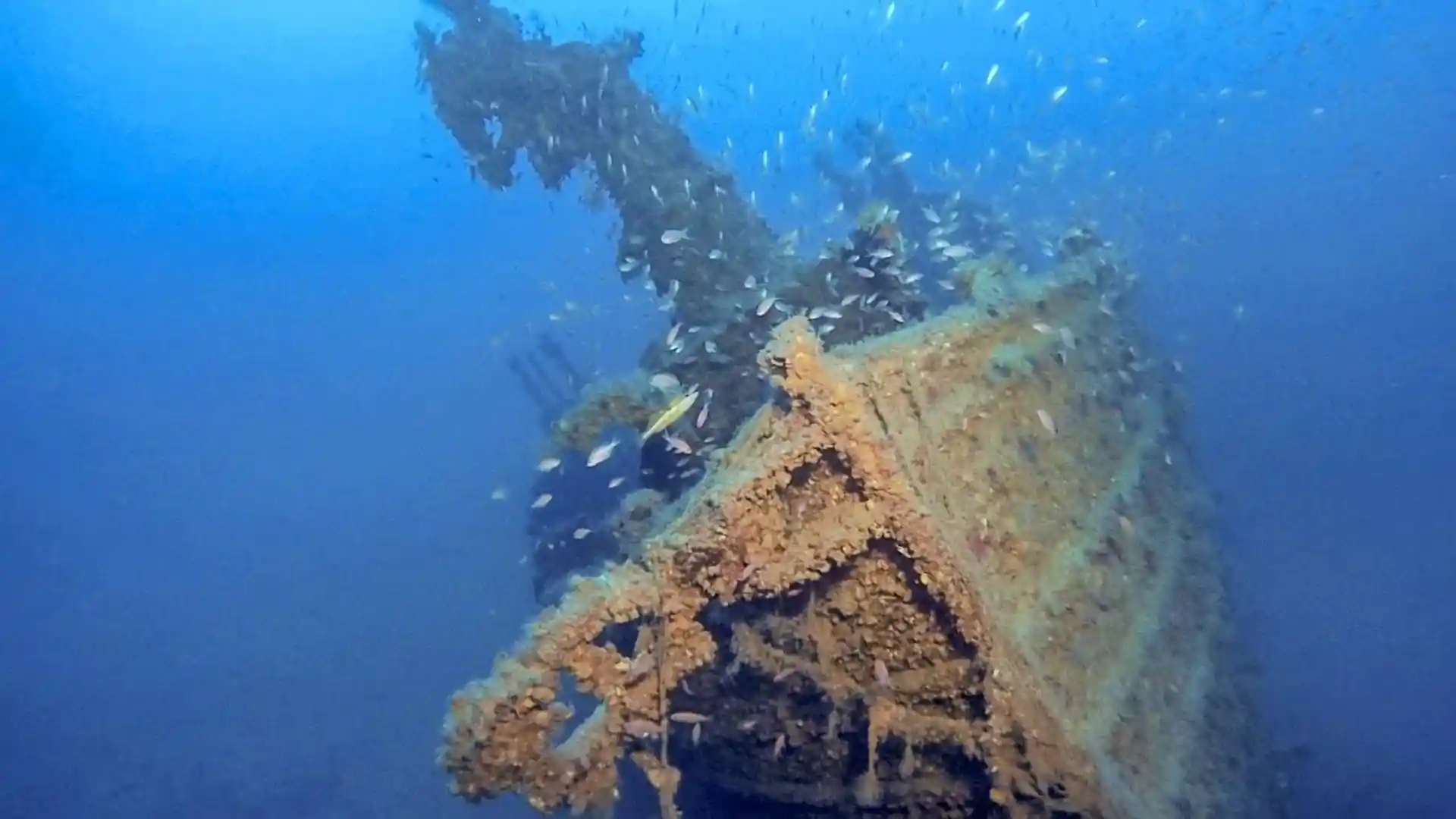 Dive site photo