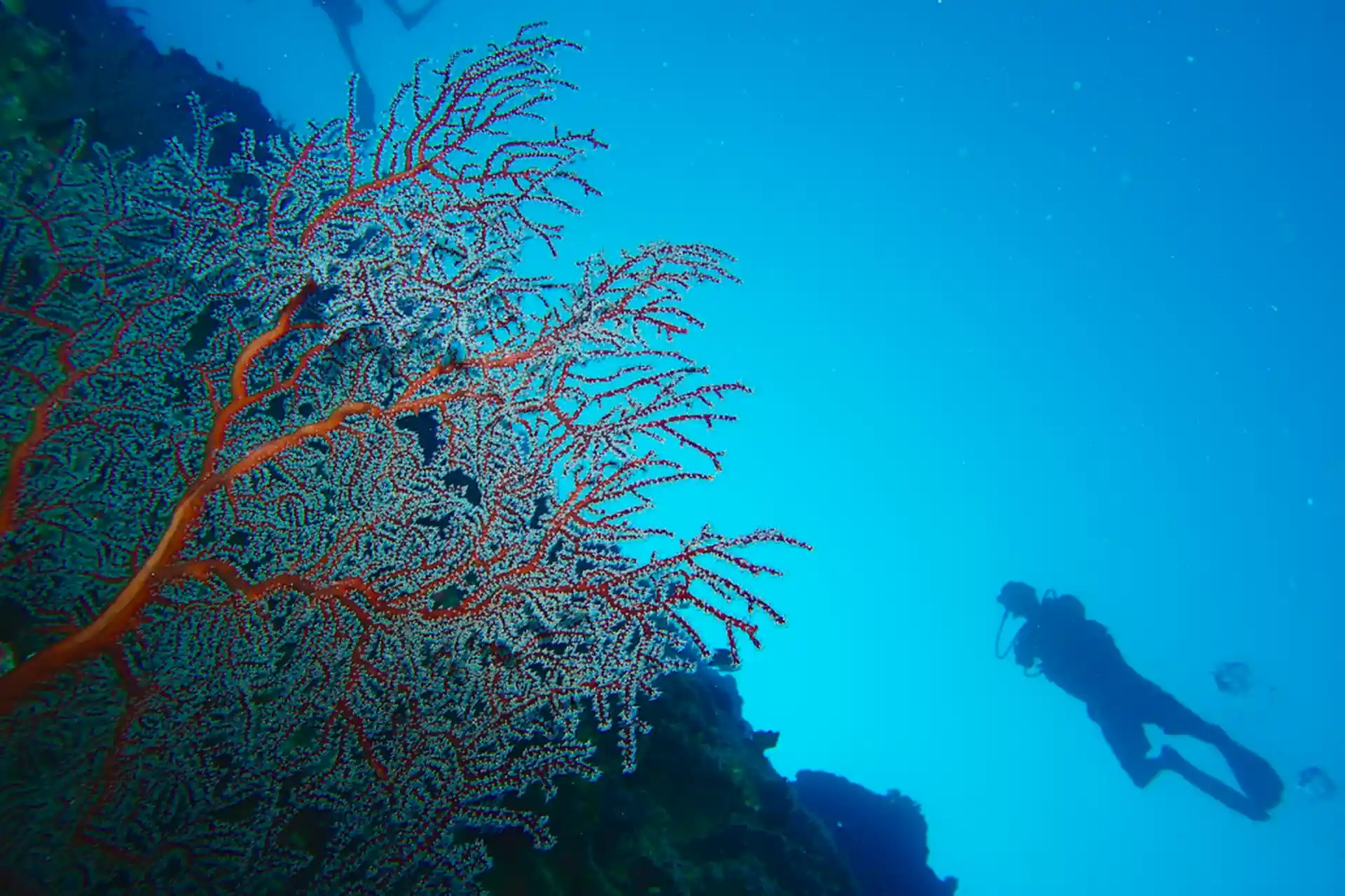 Dive site photo