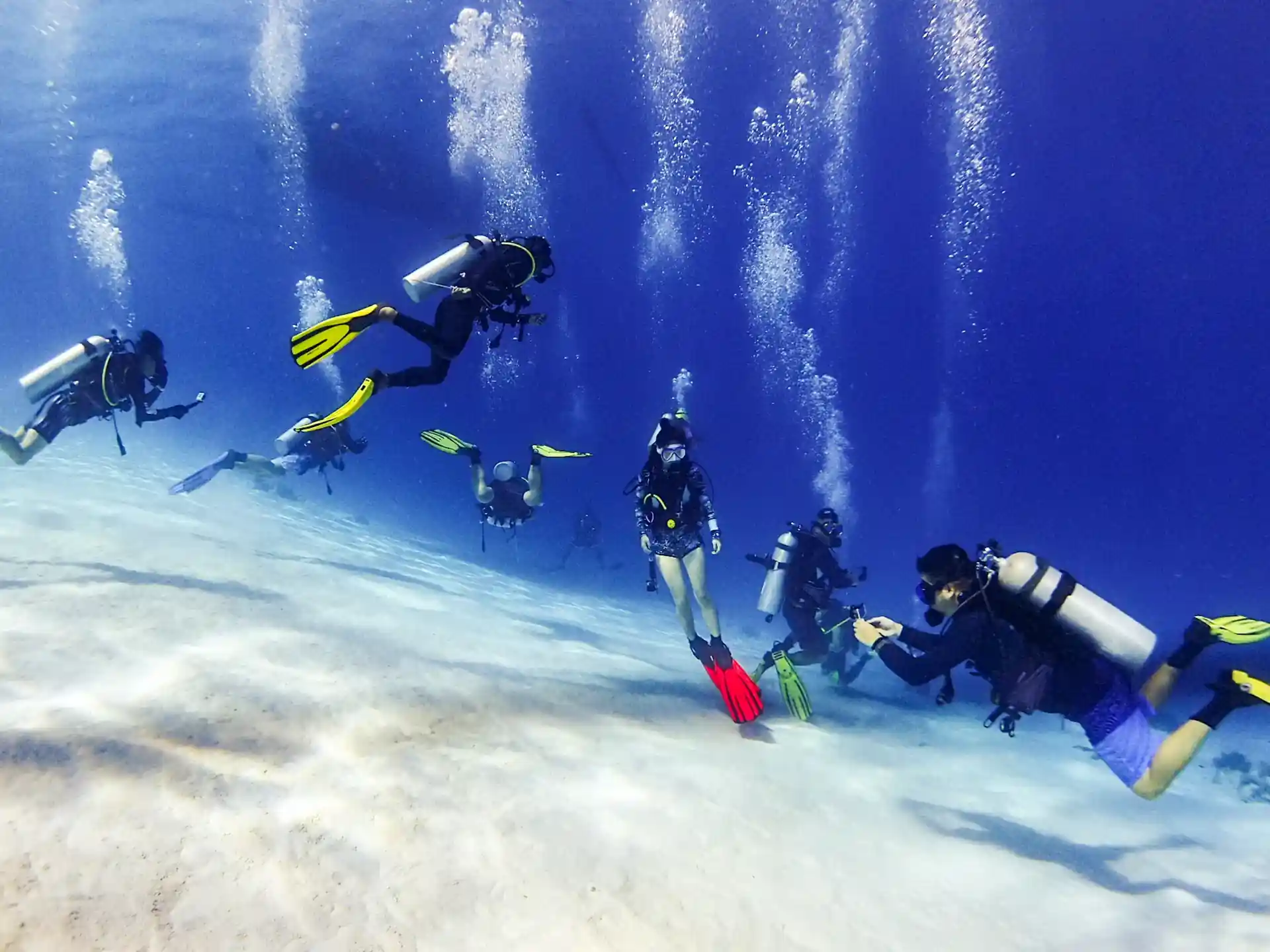 Open Water Session