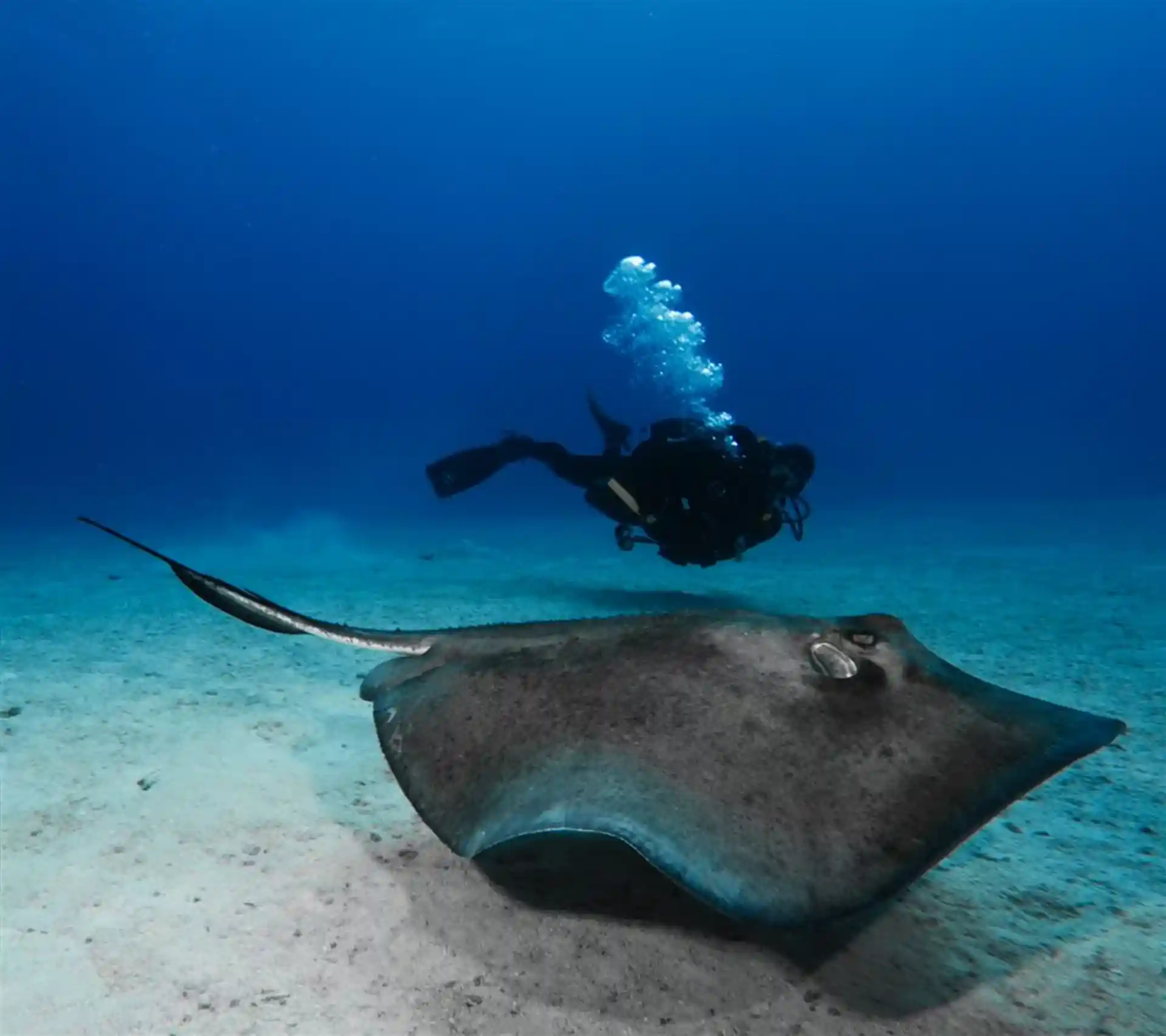 Dive shop photo