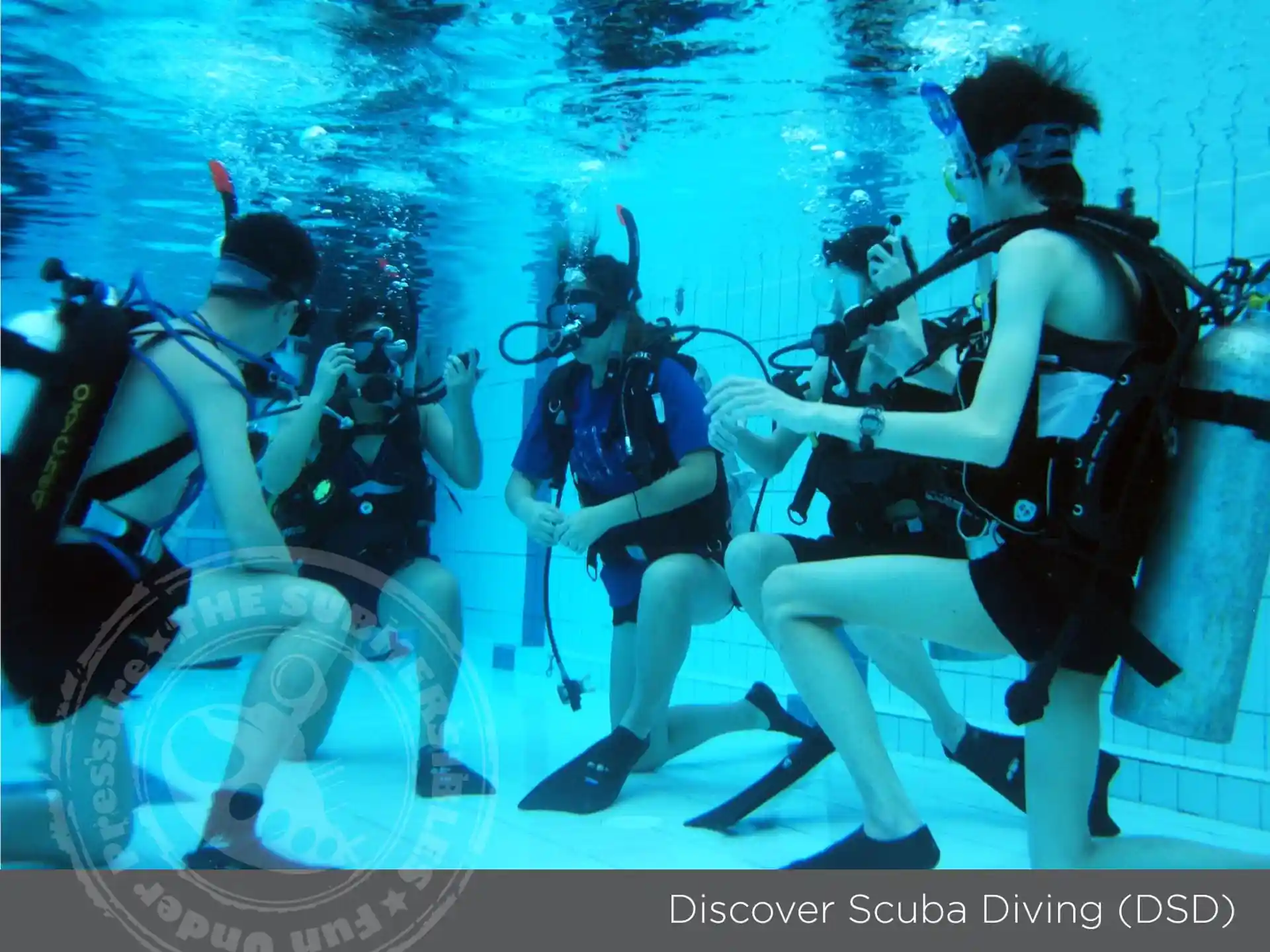 Dive shop photo