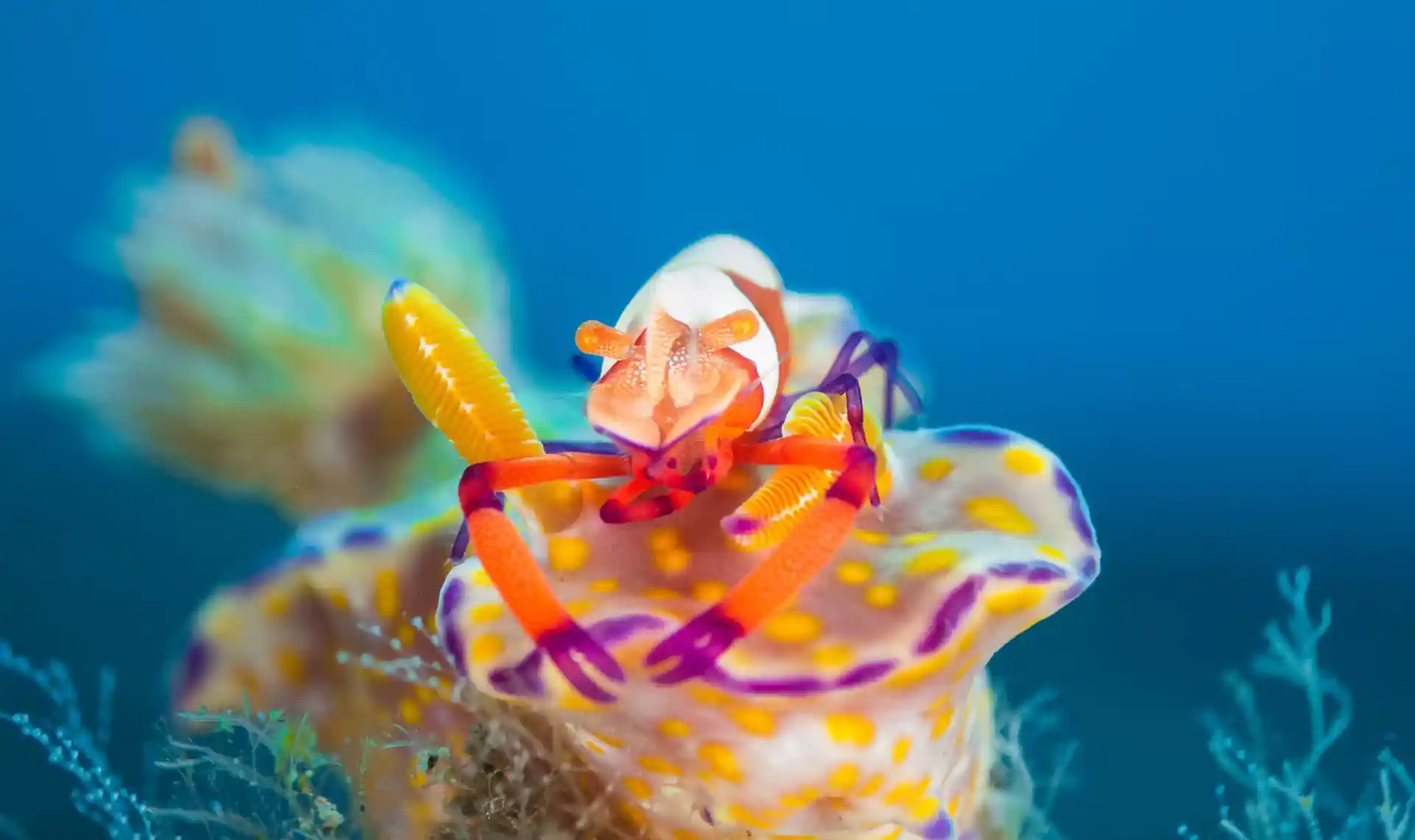 Dive shop photo