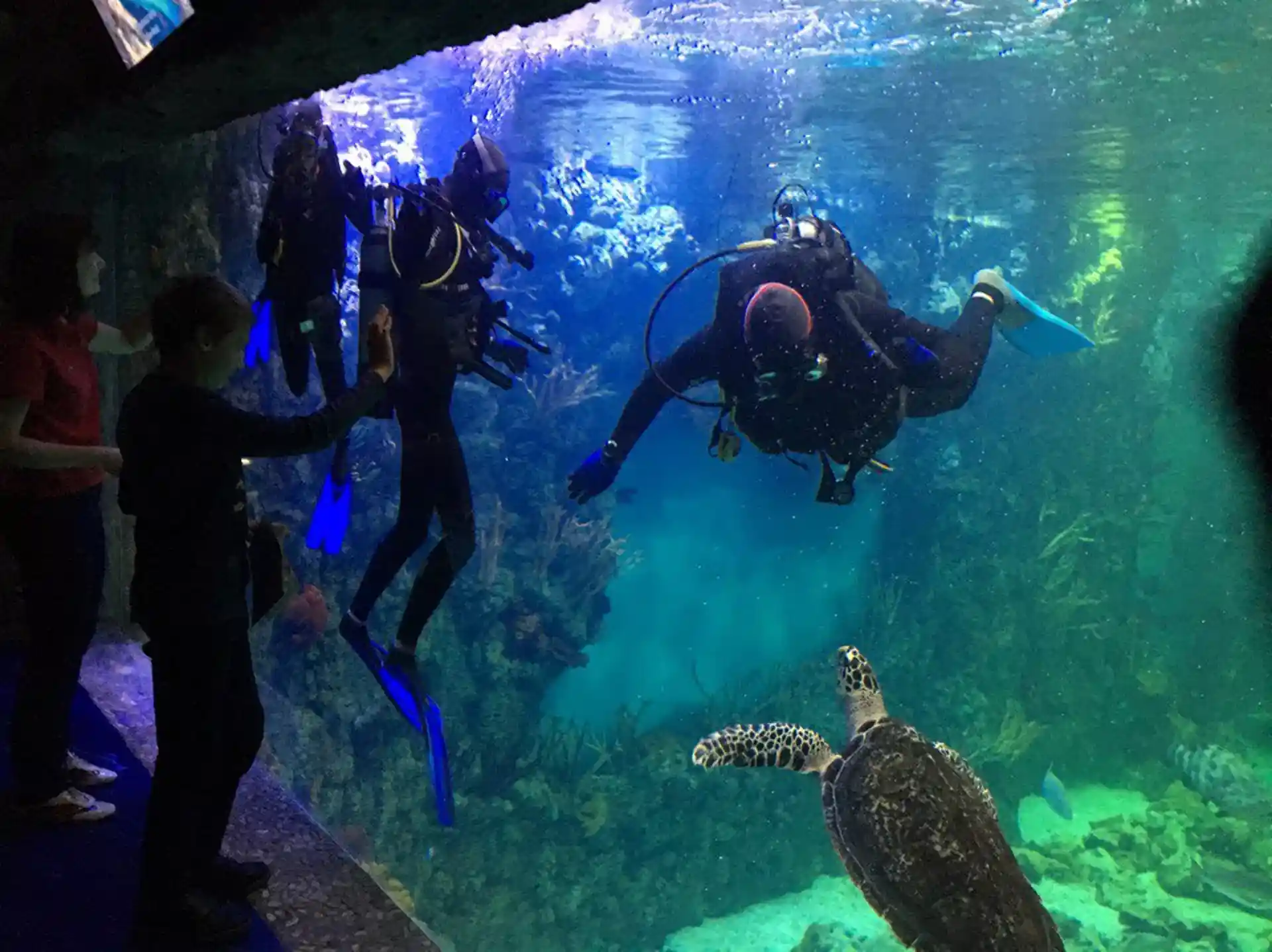 Dive site photo