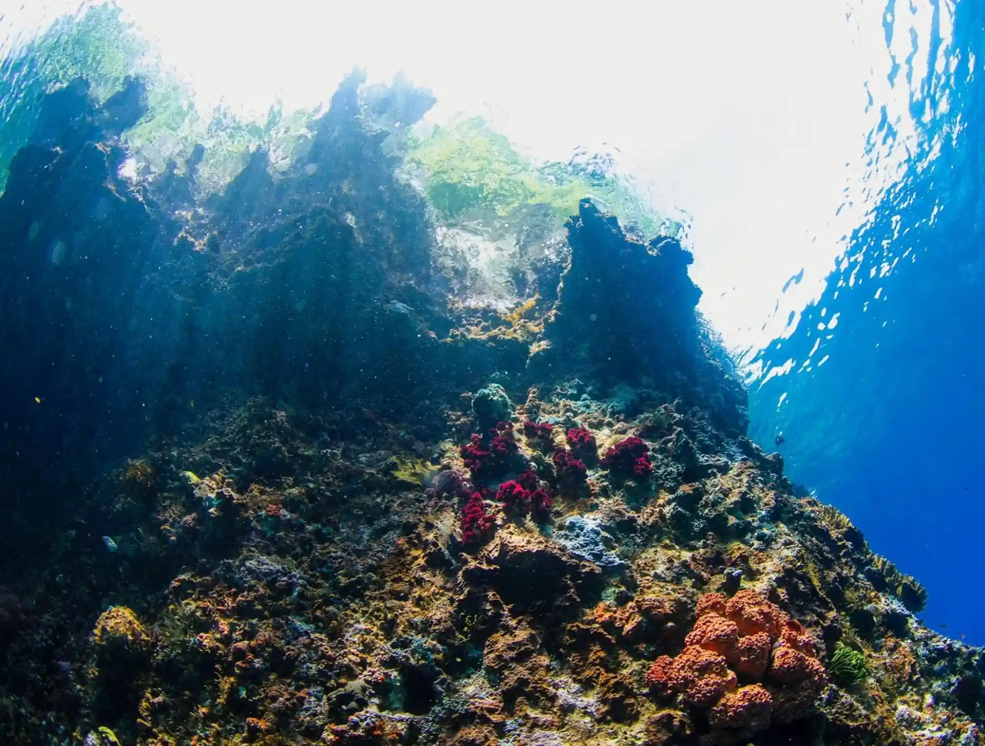 Dive site photo