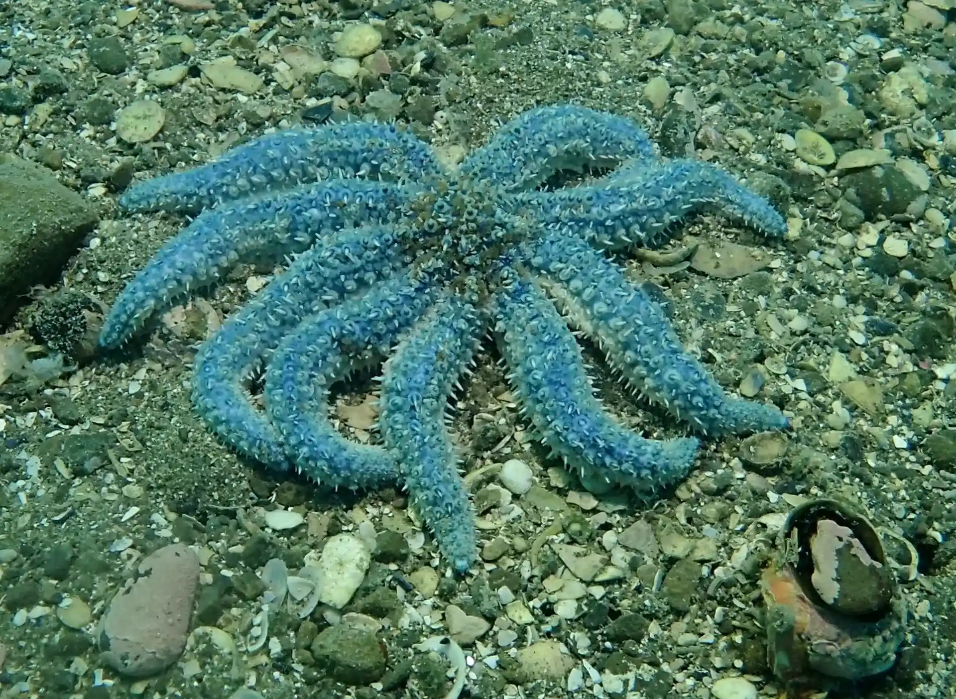 Dive site photo
