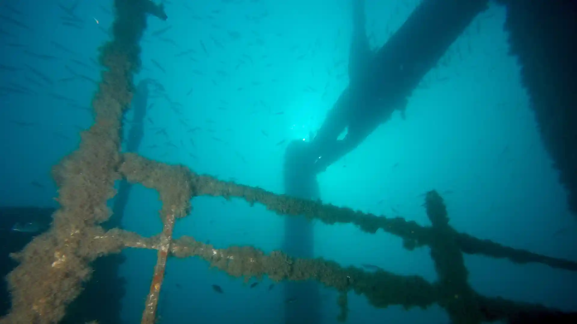 Dive site photo