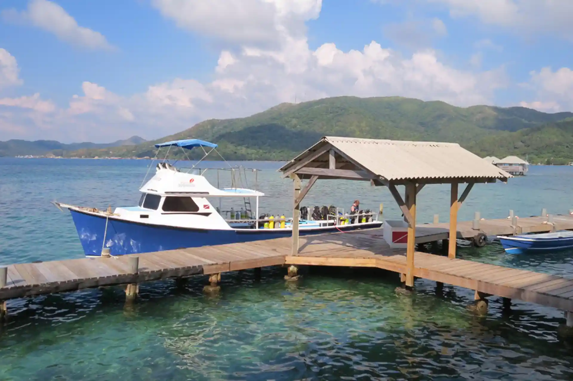 Dive shop photo