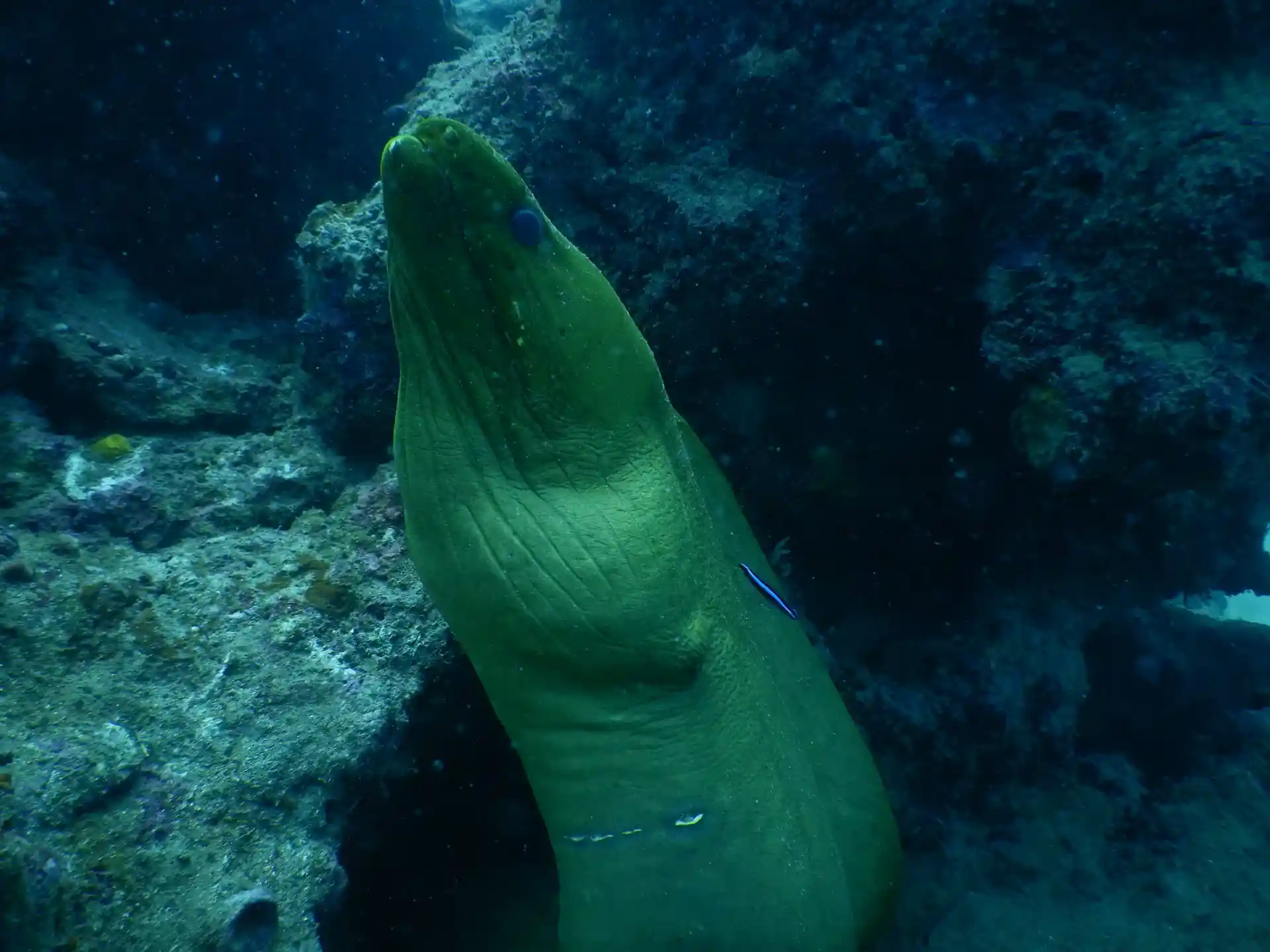 다이빙 포인트 사진