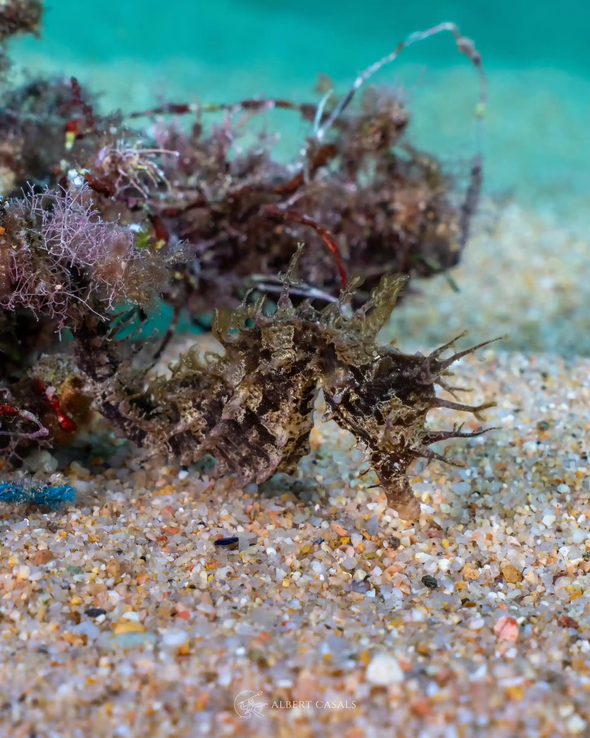 Foto de la actividad