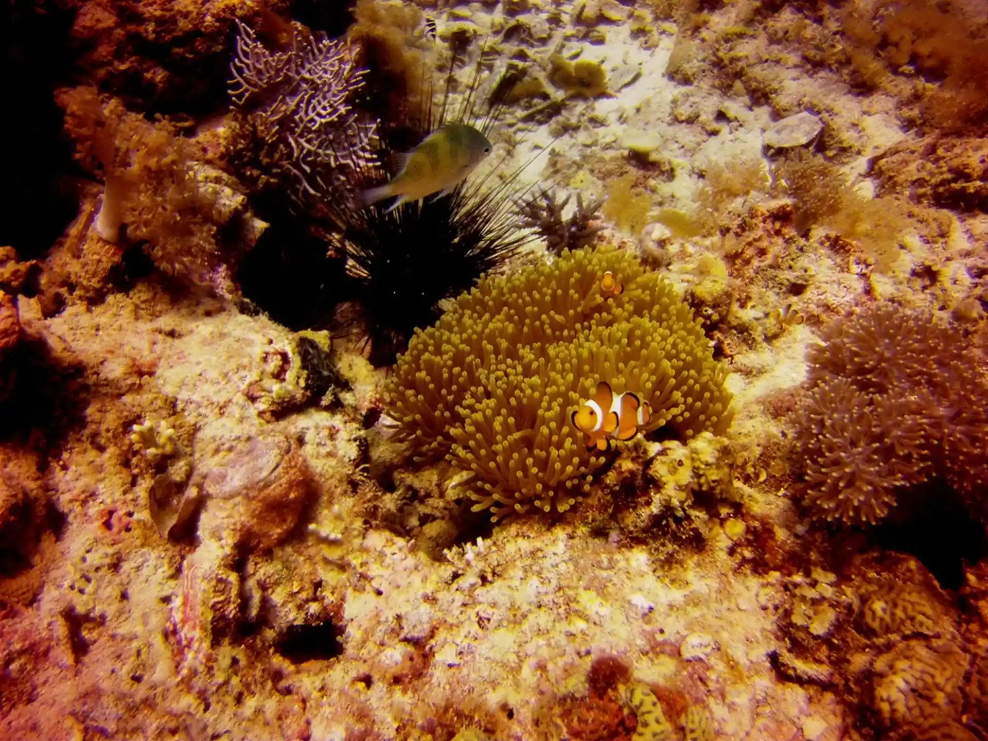 Dive site photo
