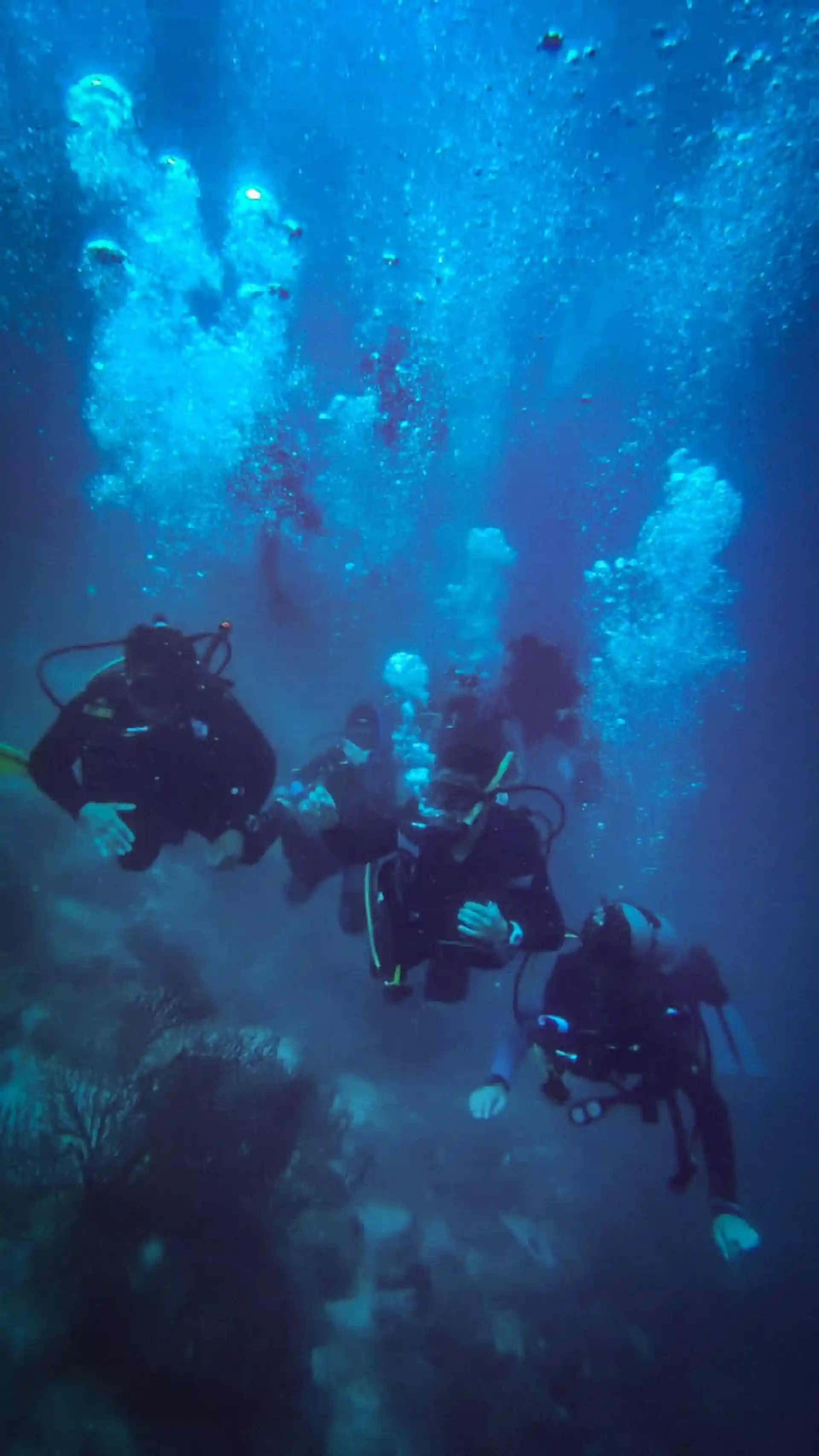 Foto de la tienda de buceo