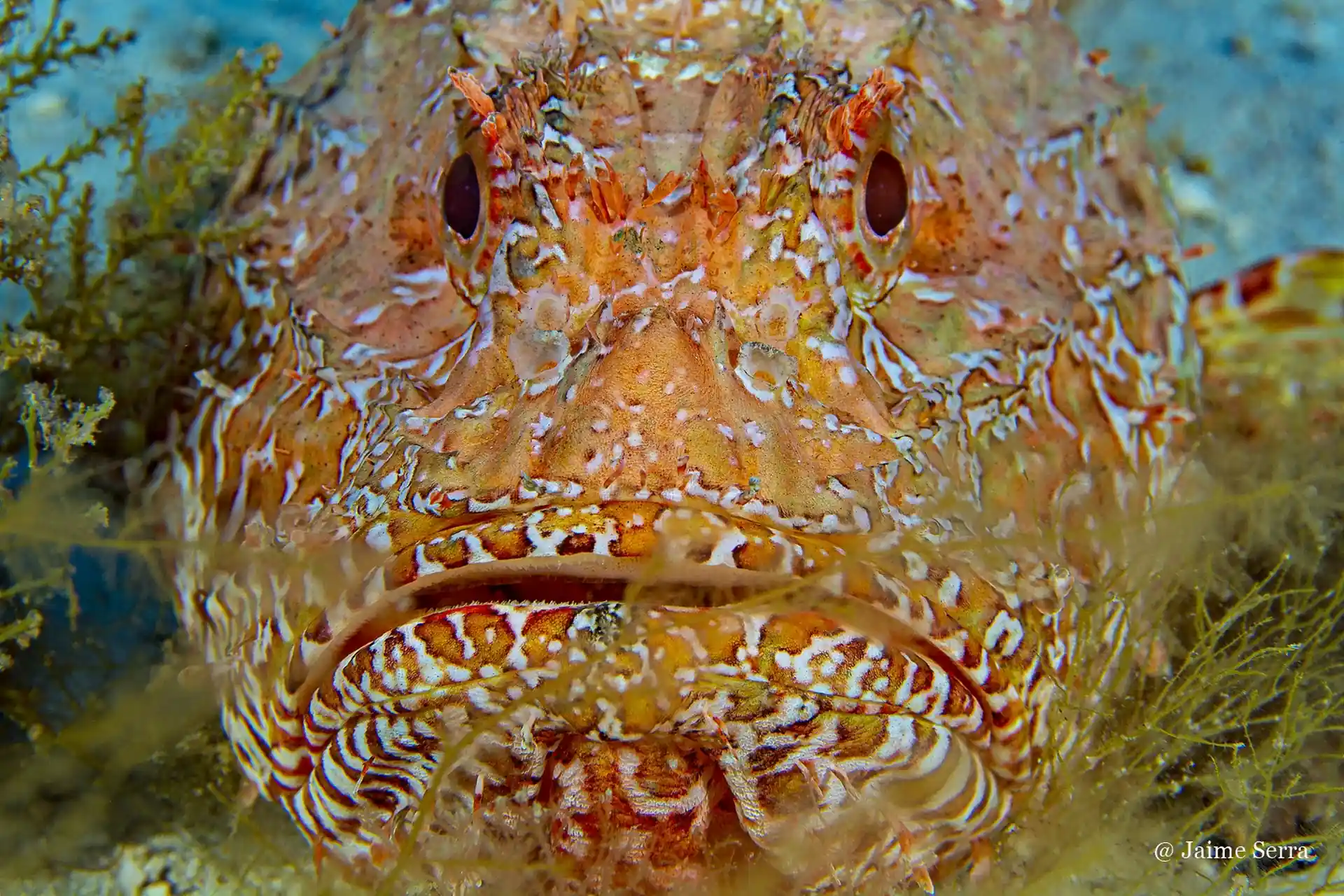 Foto de la actividad