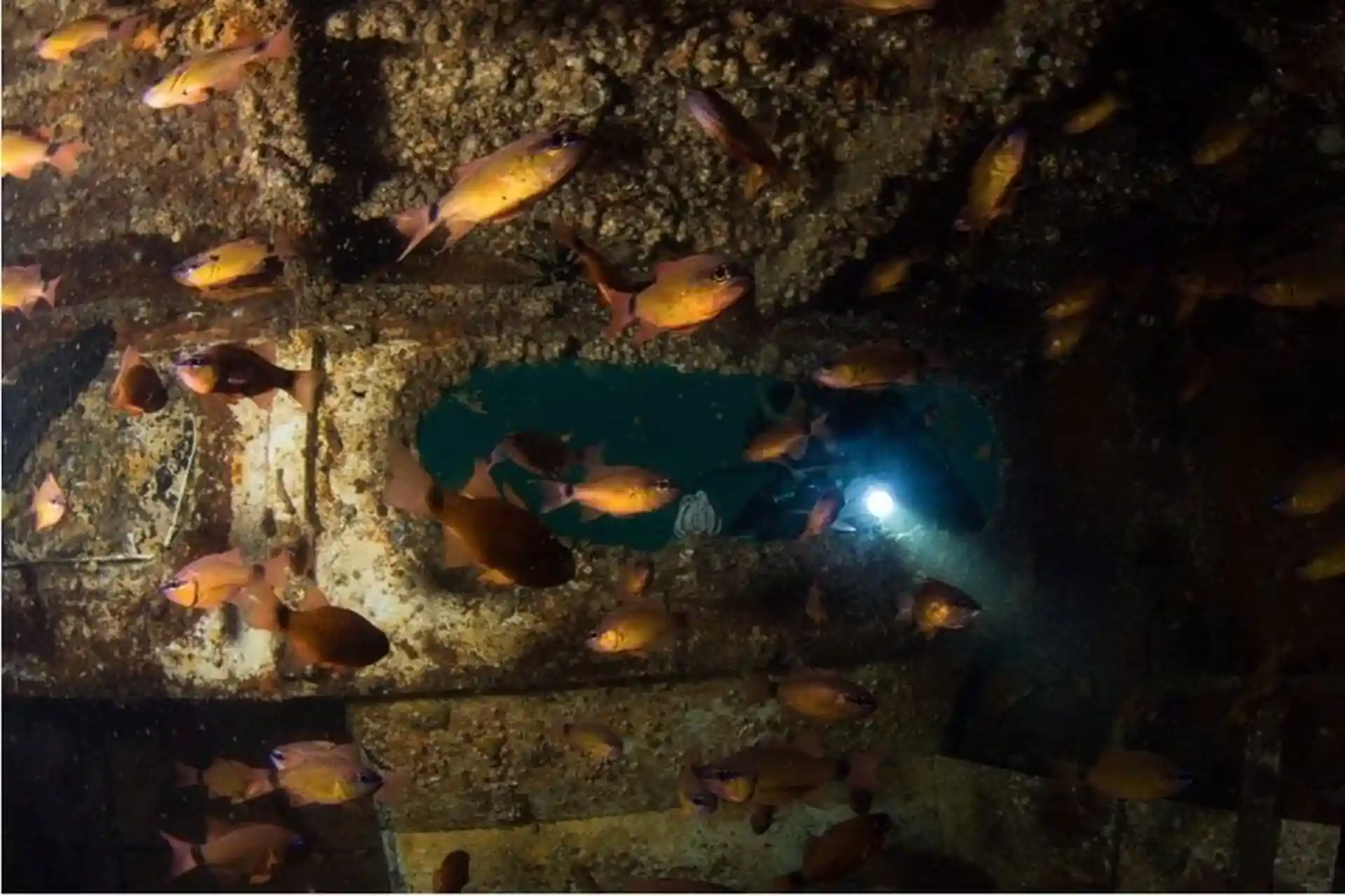Dive site photo