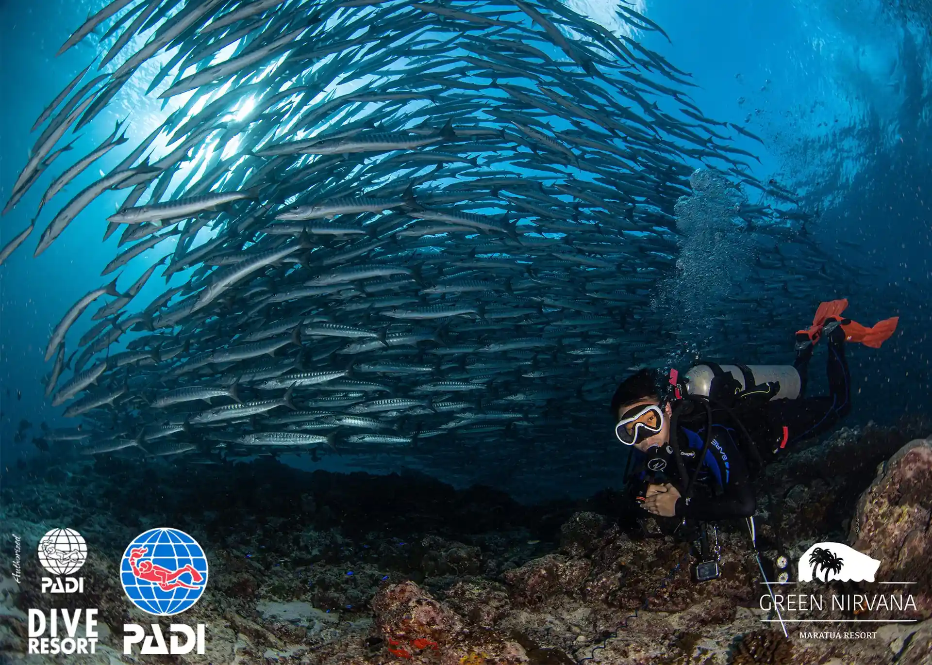 Dive site photo