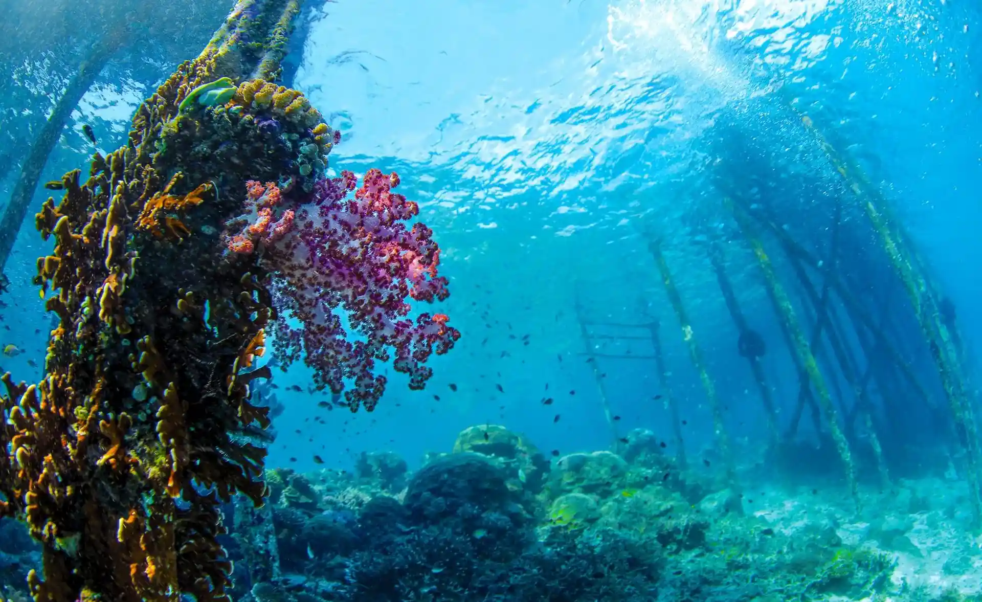 Dive site photo