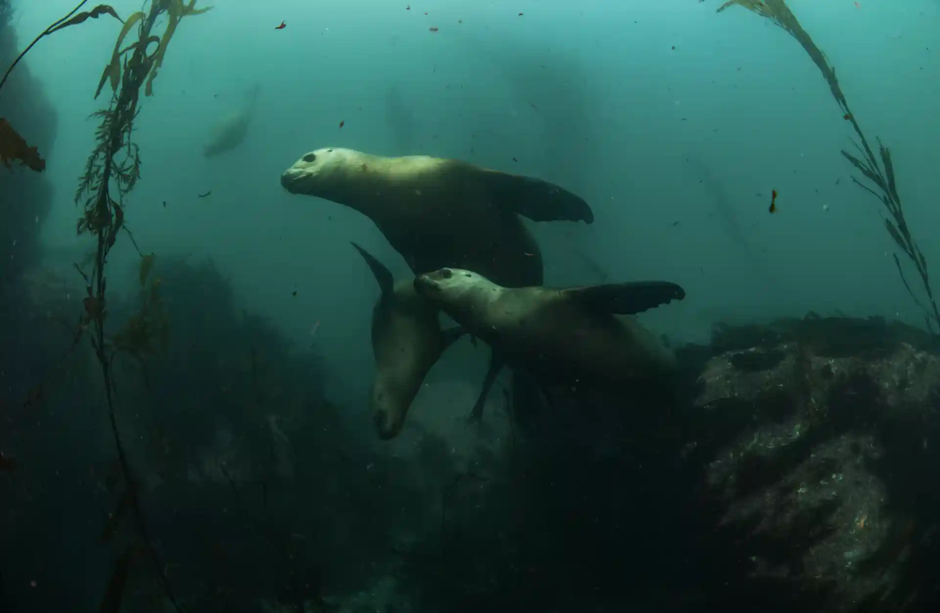 Dive site photo