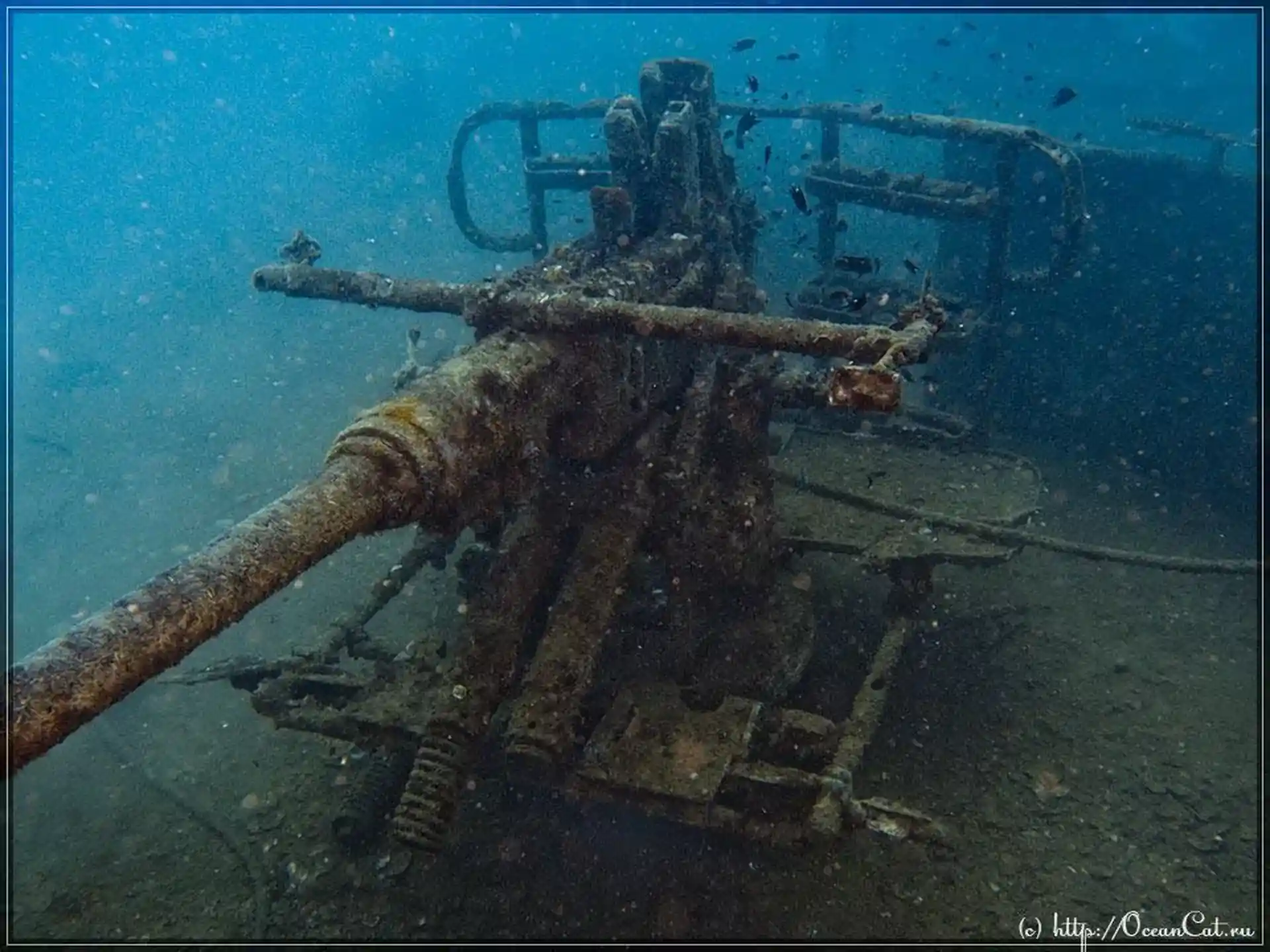 Schiffbruch des Zweiten Weltkriegs
