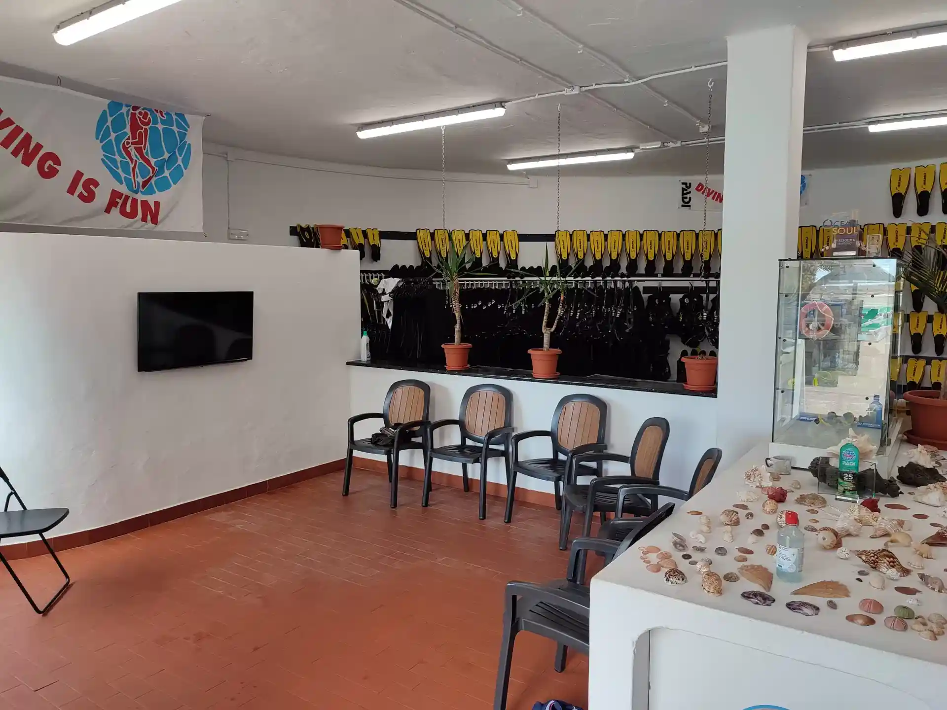 Dive shop photo
