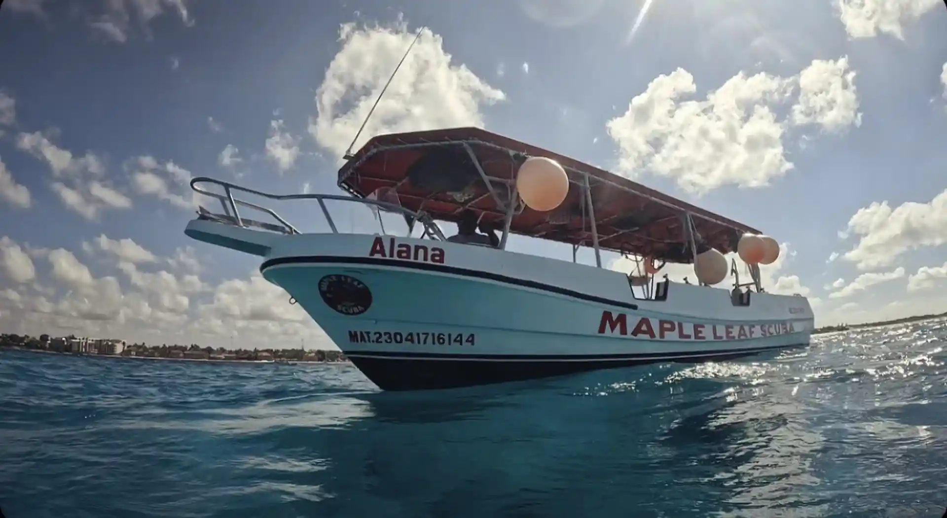 Alana, our custom made, comfortable and fast dive boat