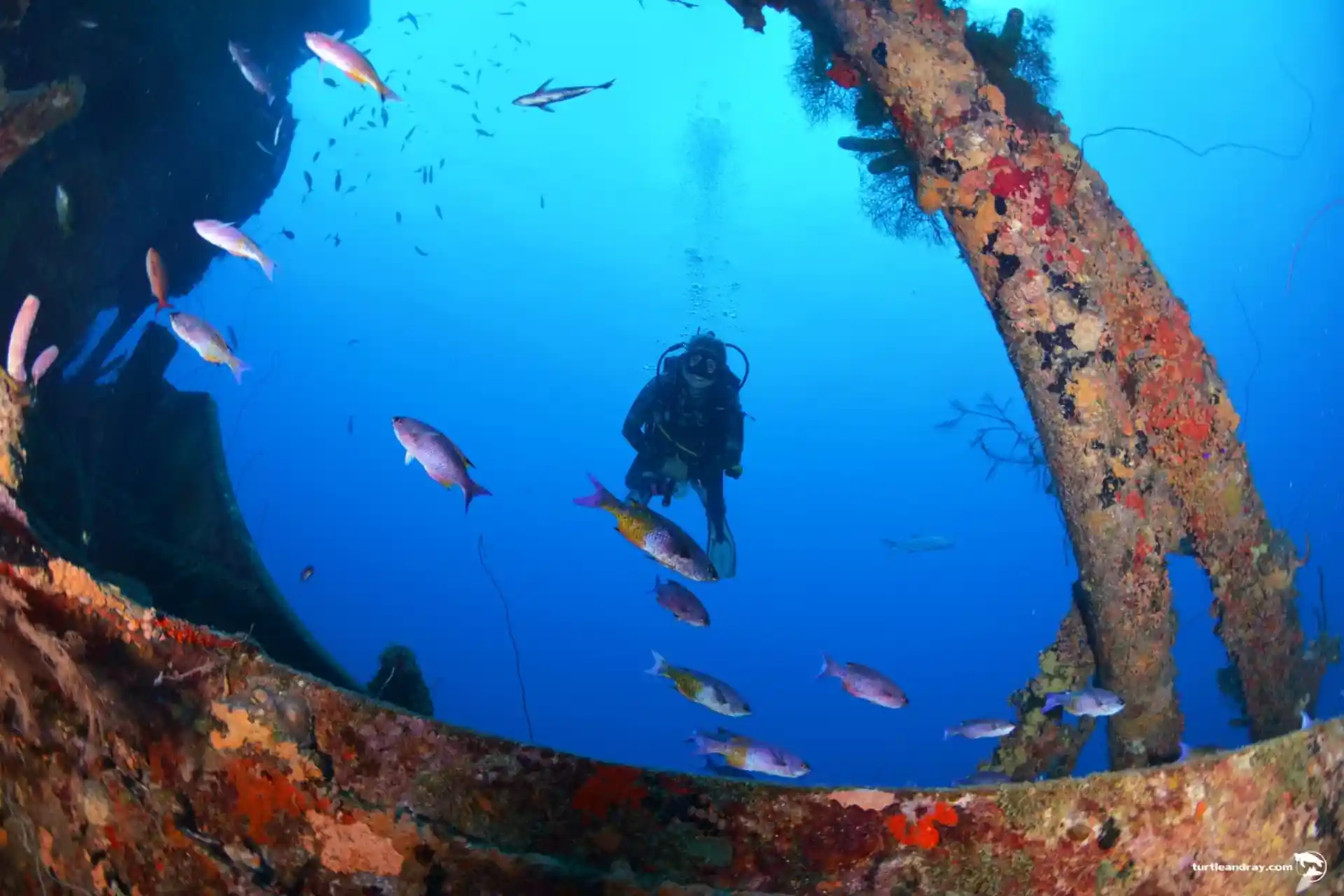 Dive site photo