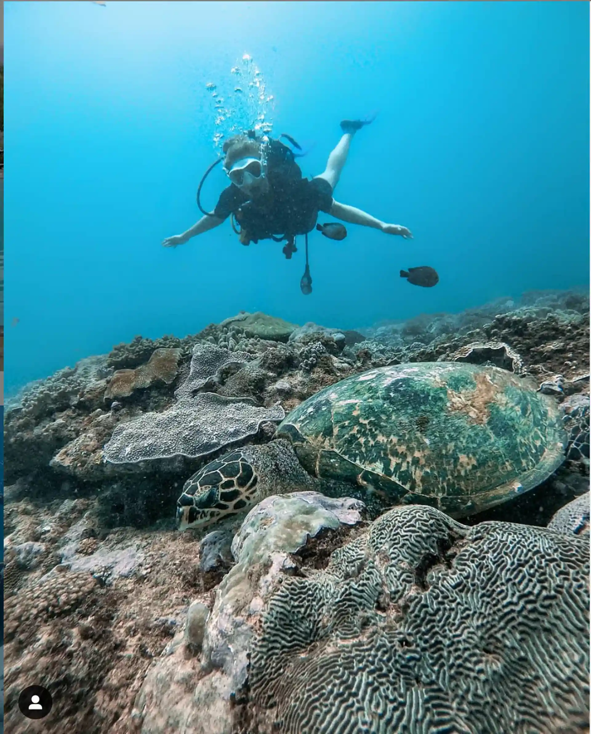 Dive site photo